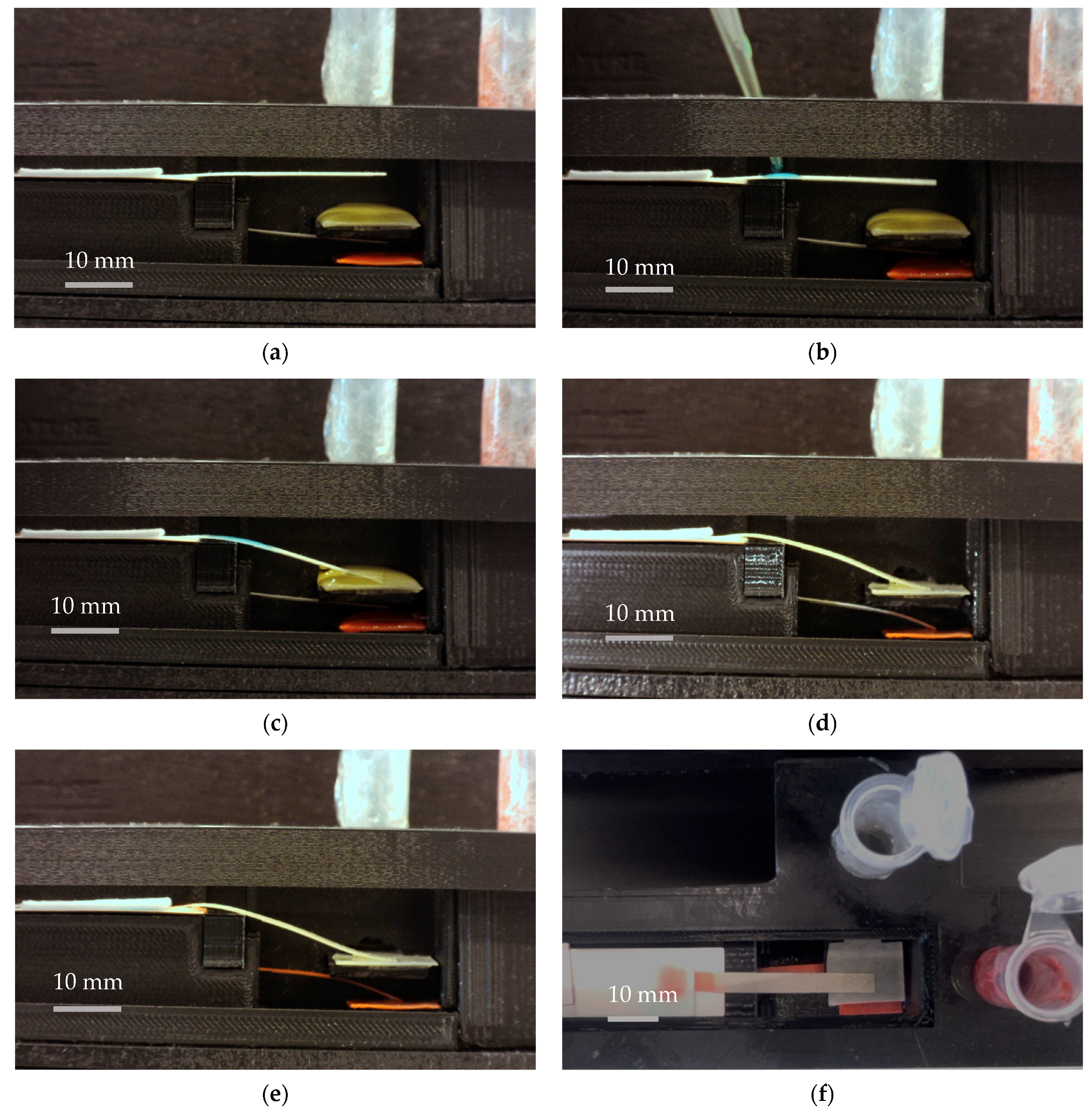 Biosensors 13 00310 g008