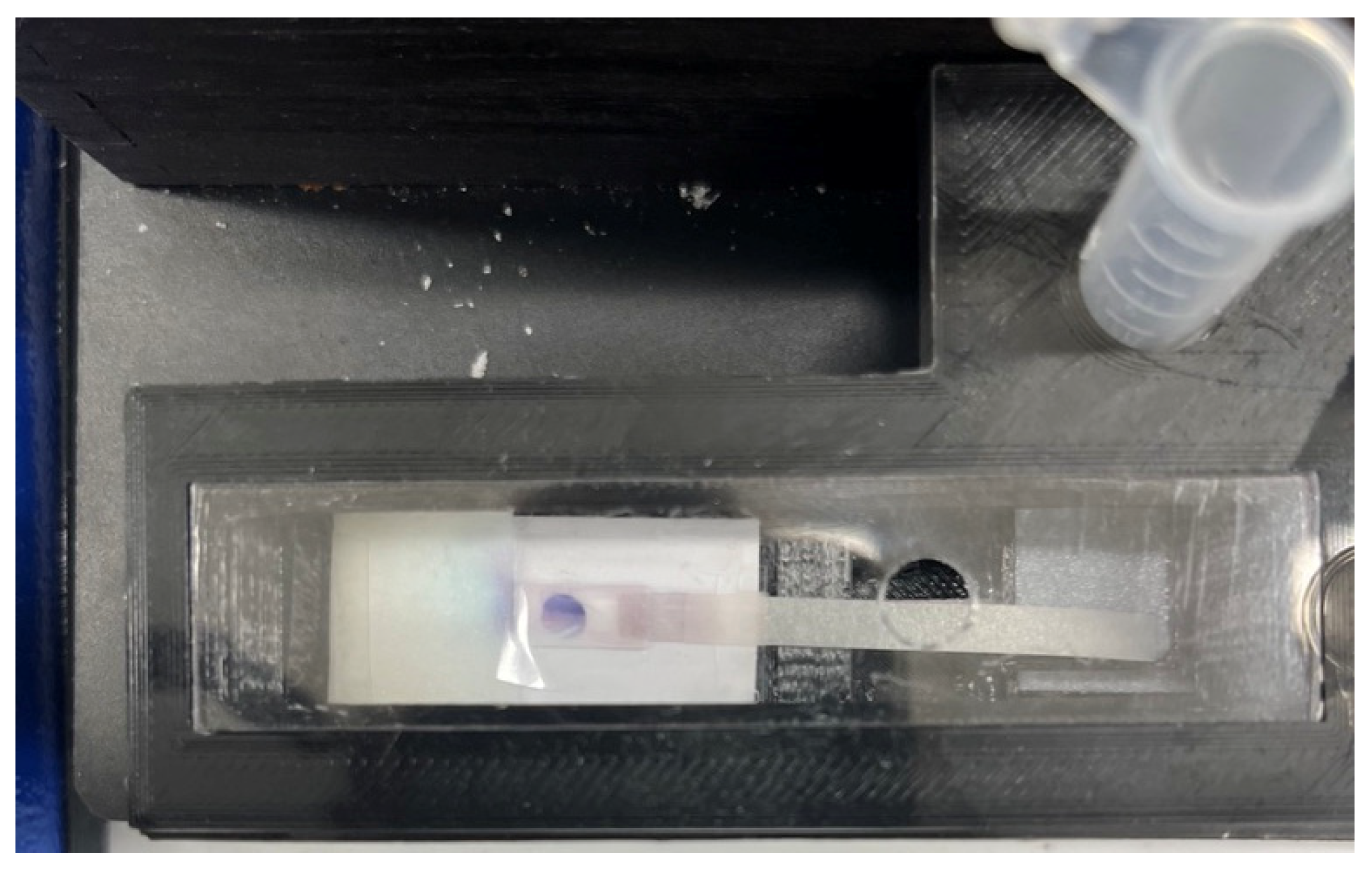 Biosensors 13 00310 g010