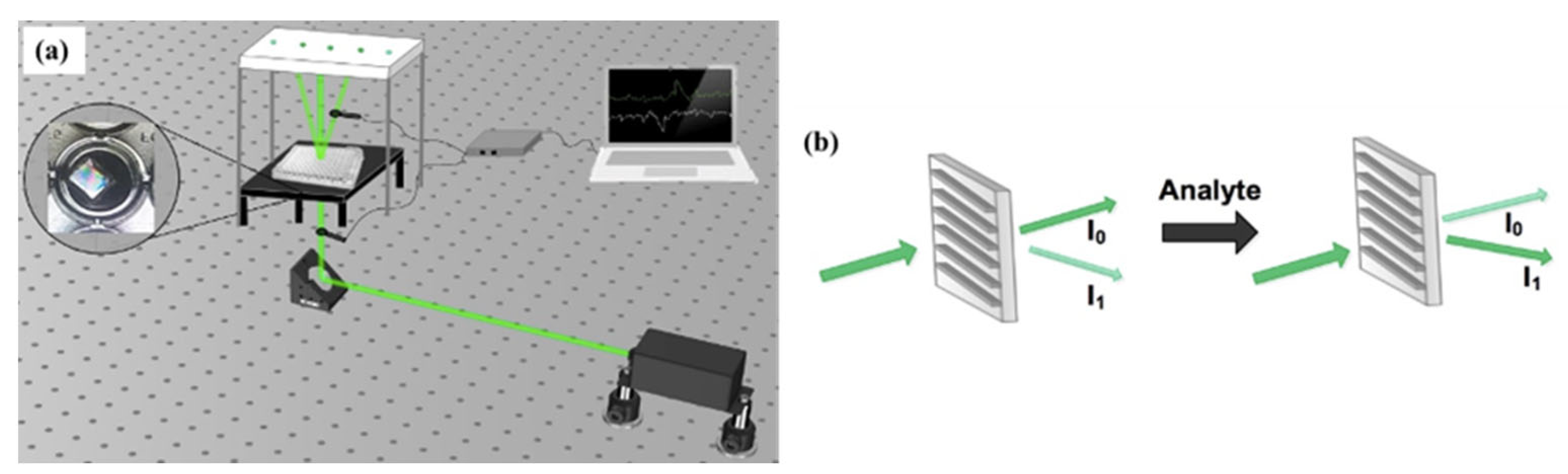 Biosensors 13 00312 g001