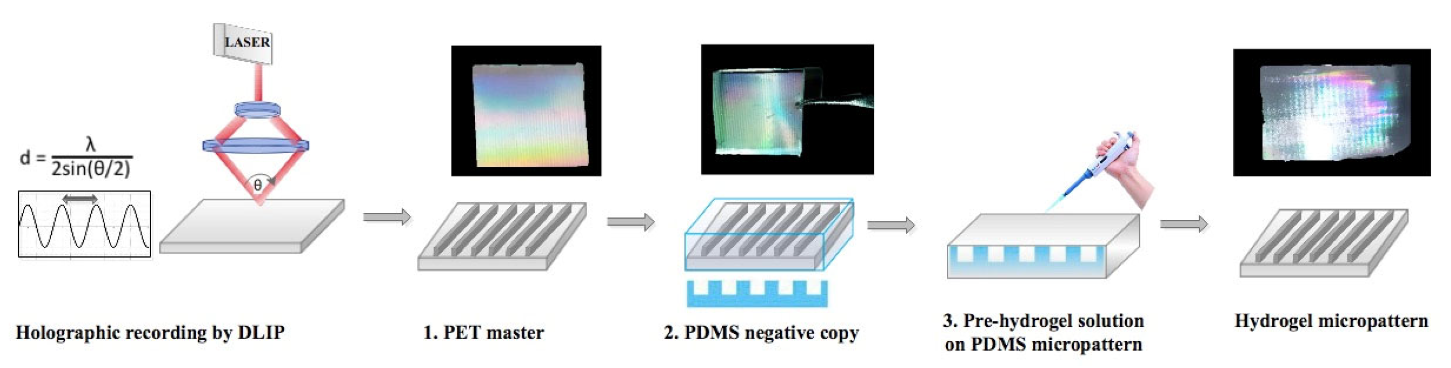 Biosensors 13 00312 sch001
