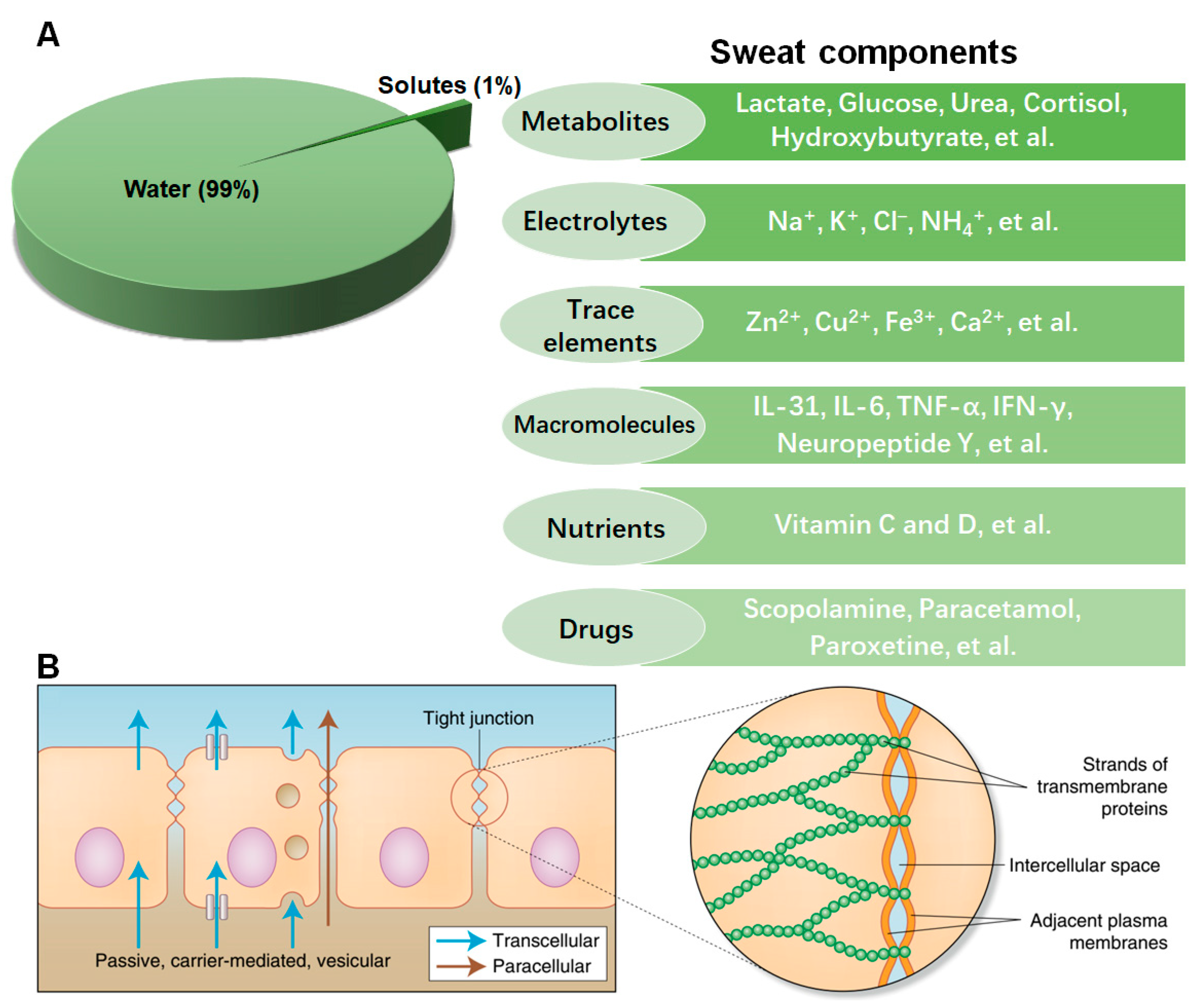 Biosensors 13 00313 g001