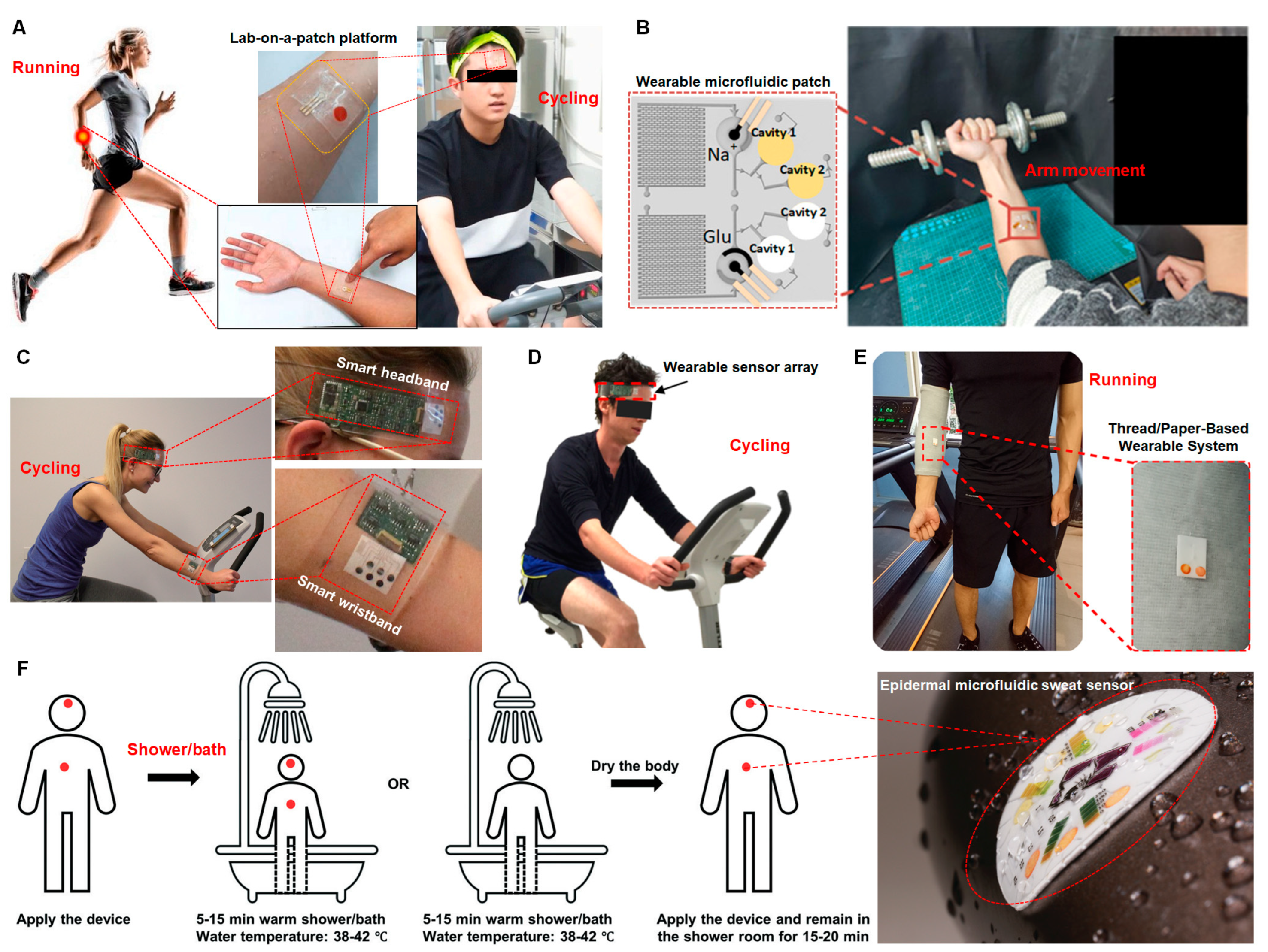 Biosensors 13 00313 g002