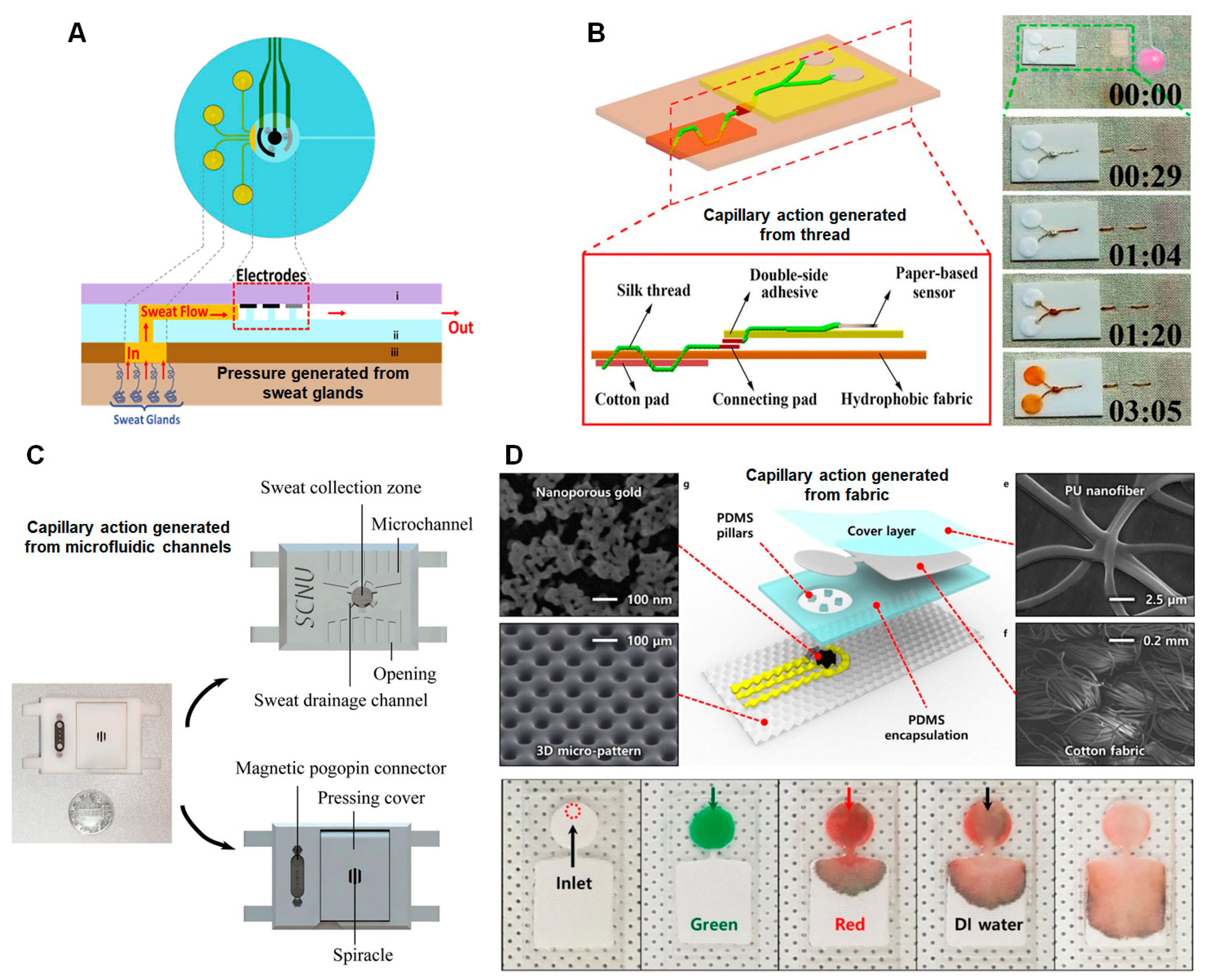 Biosensors 13 00313 g004