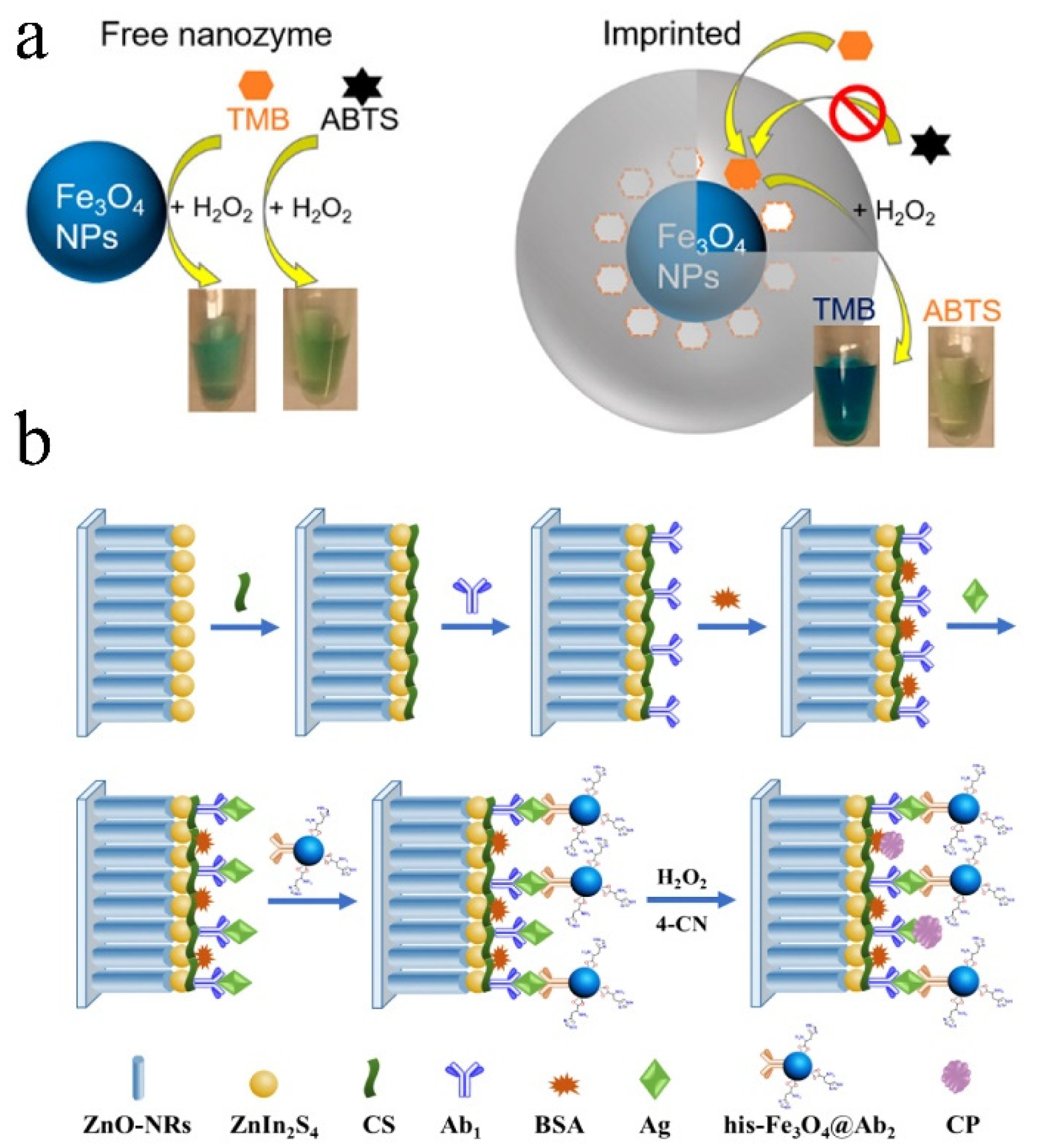 Biosensors 13 00314 g004