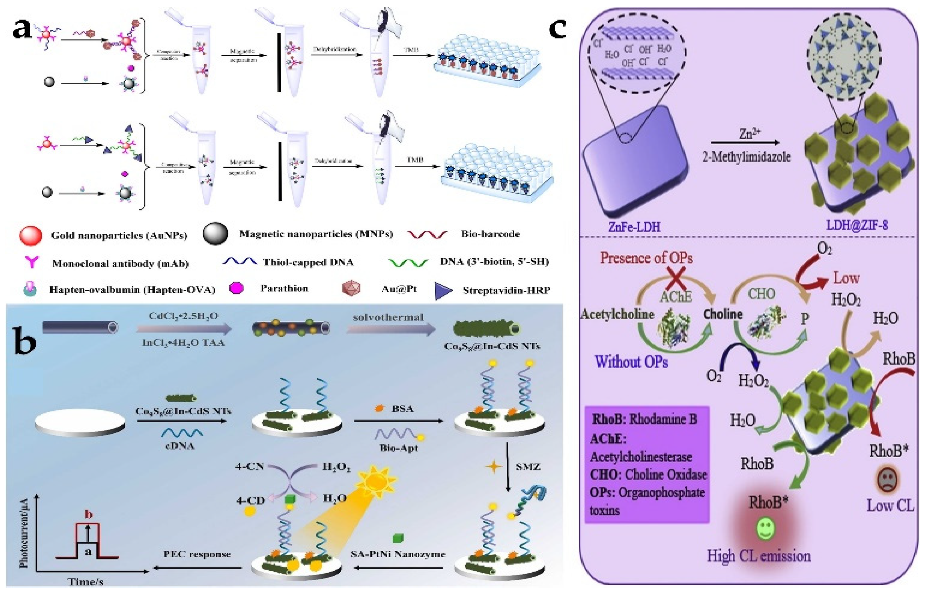 Biosensors 13 00314 g006
