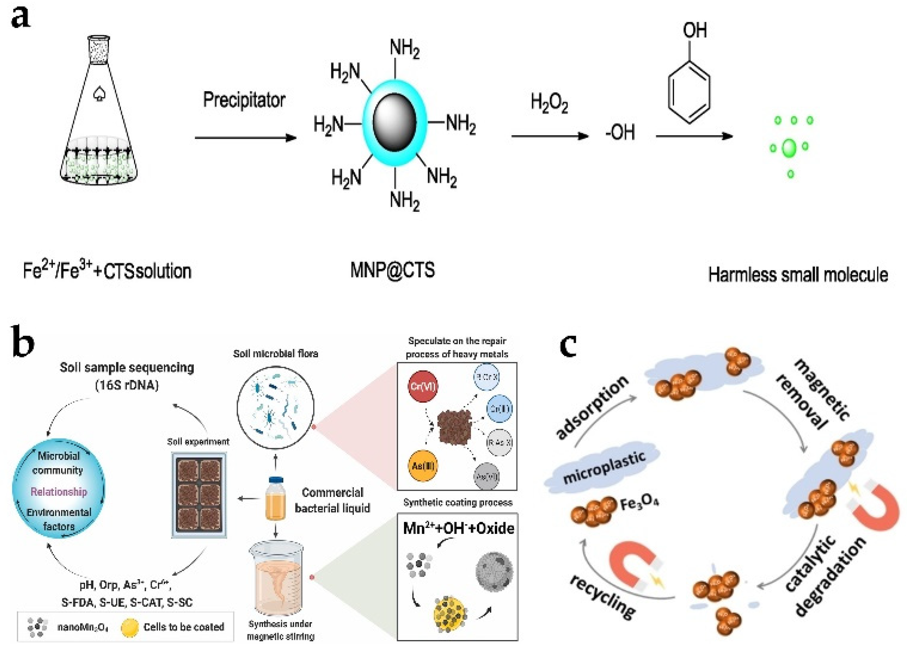 Biosensors 13 00314 g008