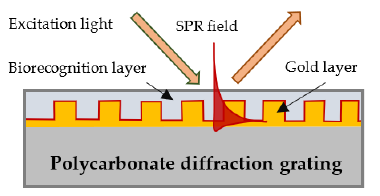 Biosensors 13 00318 g001