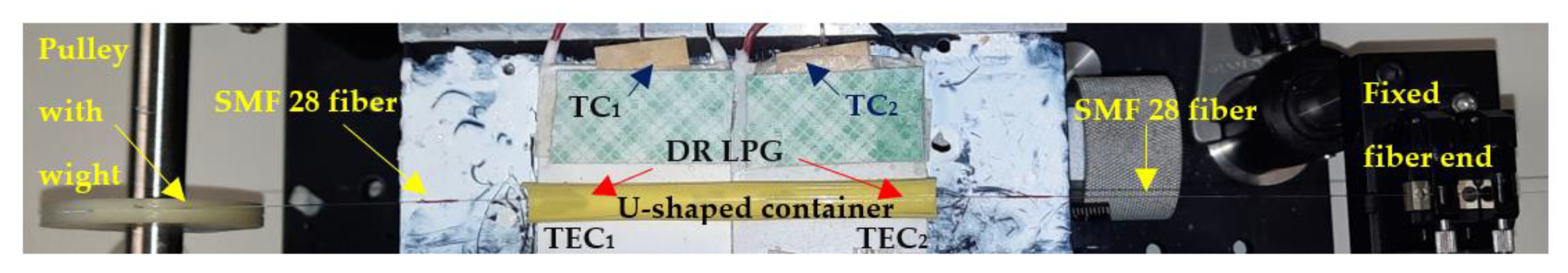 Biosensors 13 00318 g005