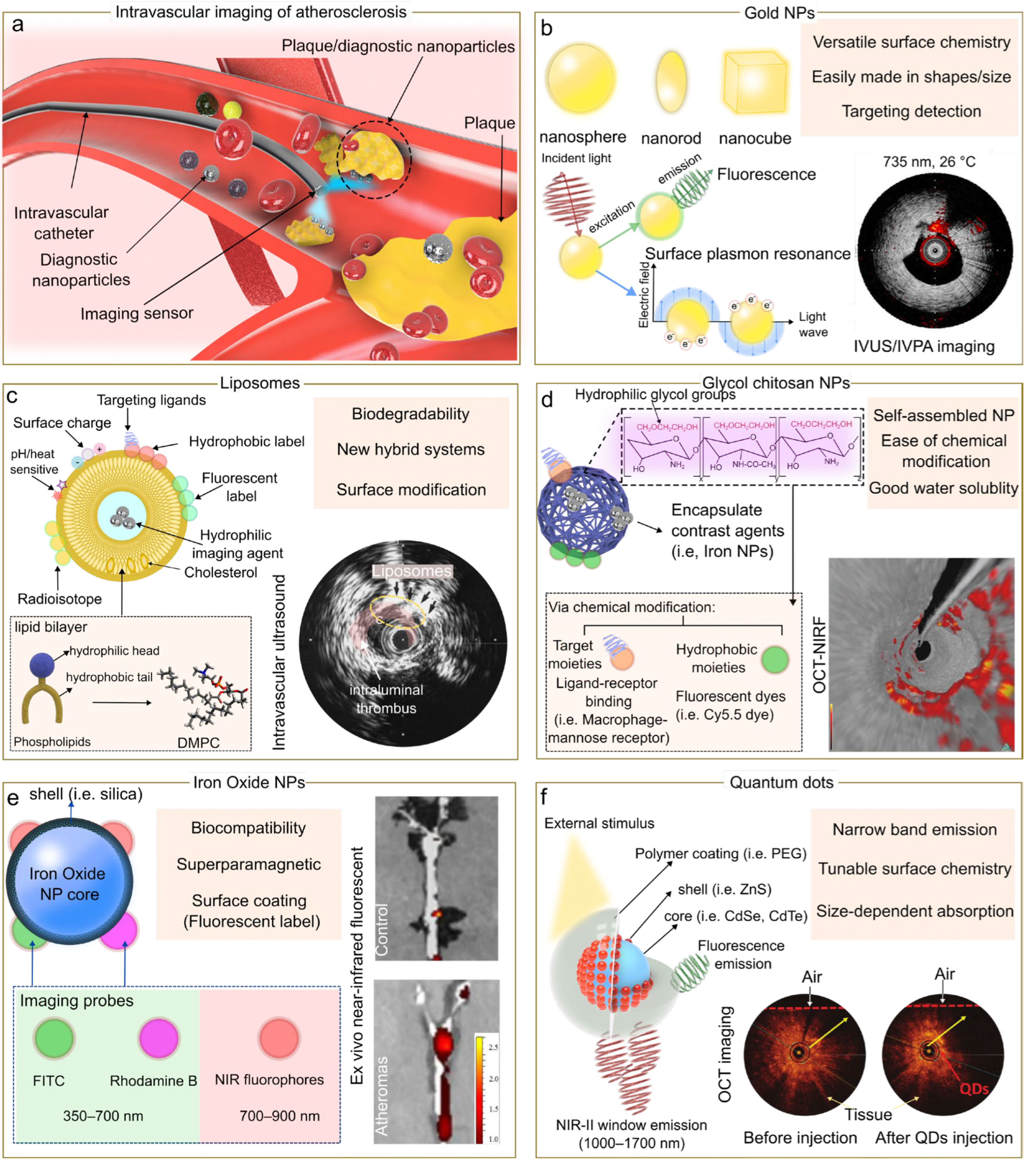 Biosensors 13 00319 g002