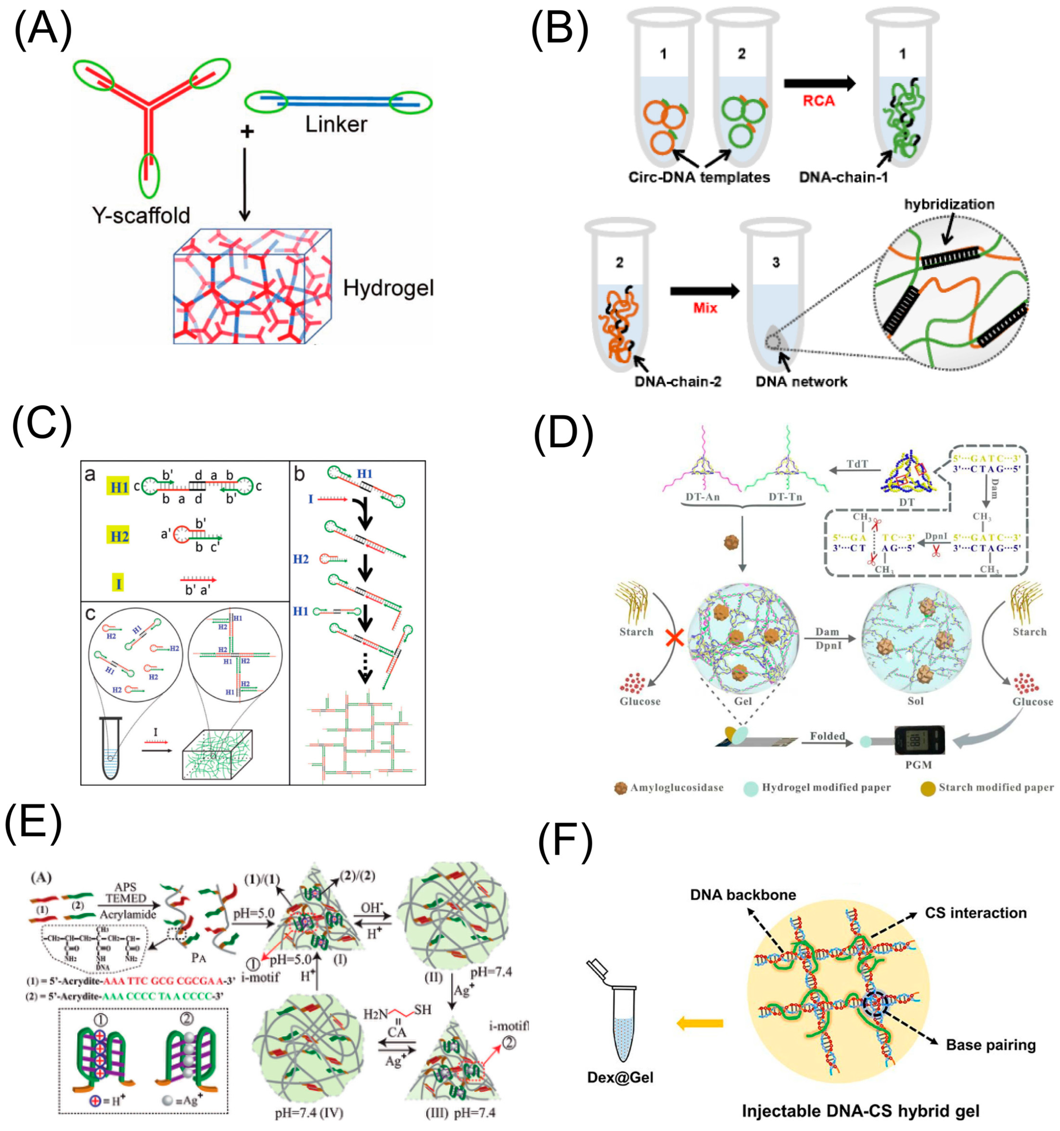 Biosensors 13 00320 g002