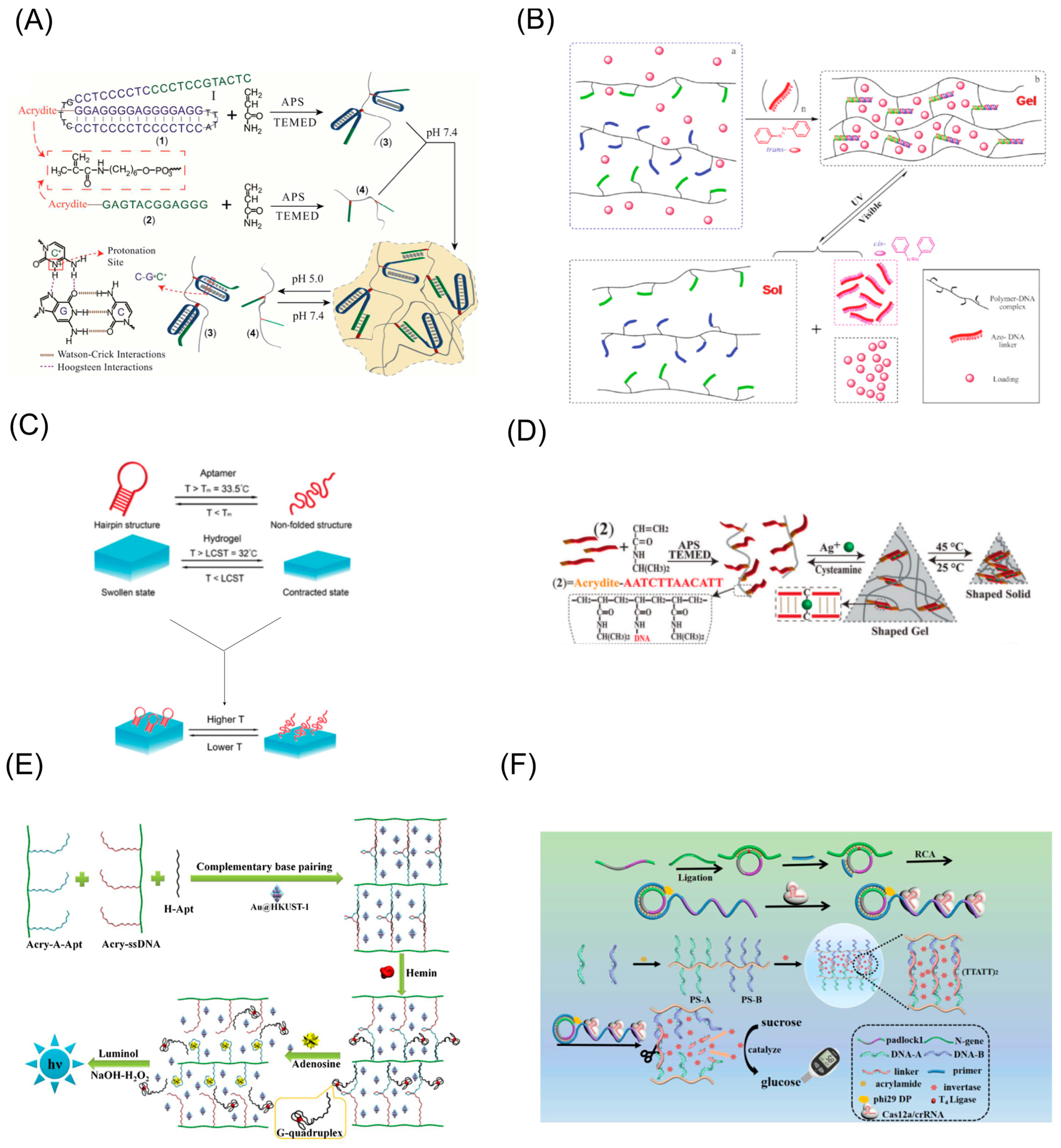Biosensors 13 00320 g003