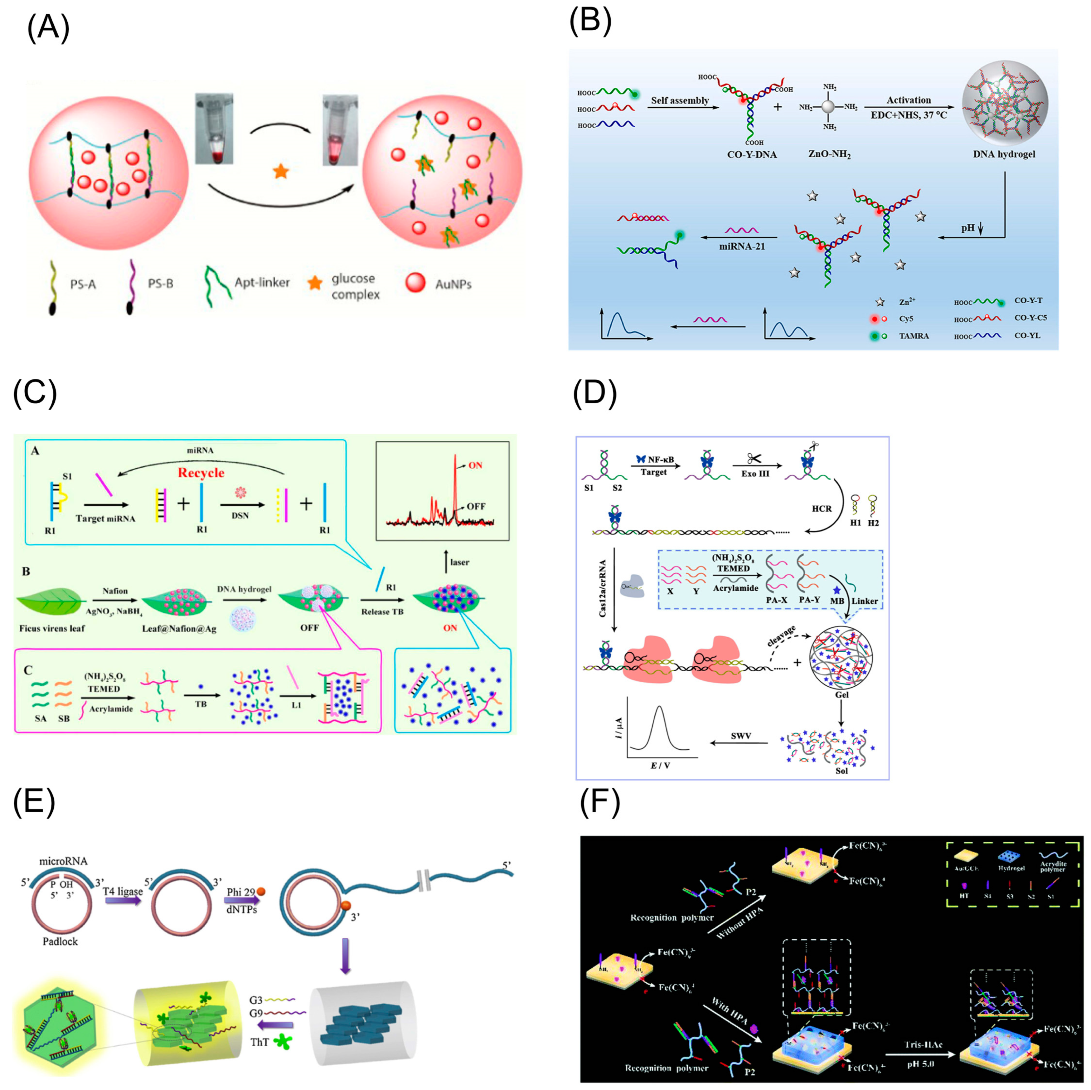 Biosensors 13 00320 g004