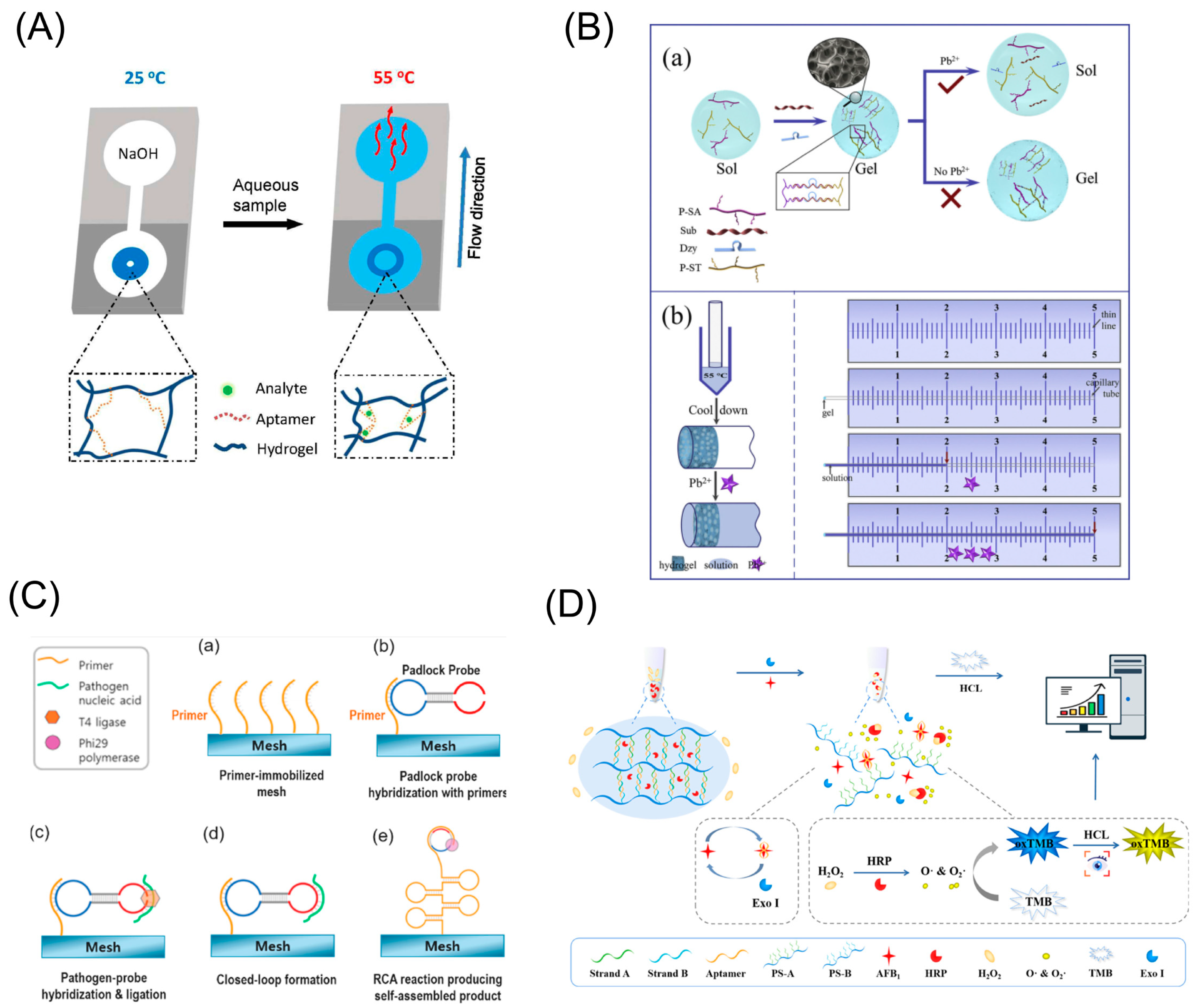 Biosensors 13 00320 g005
