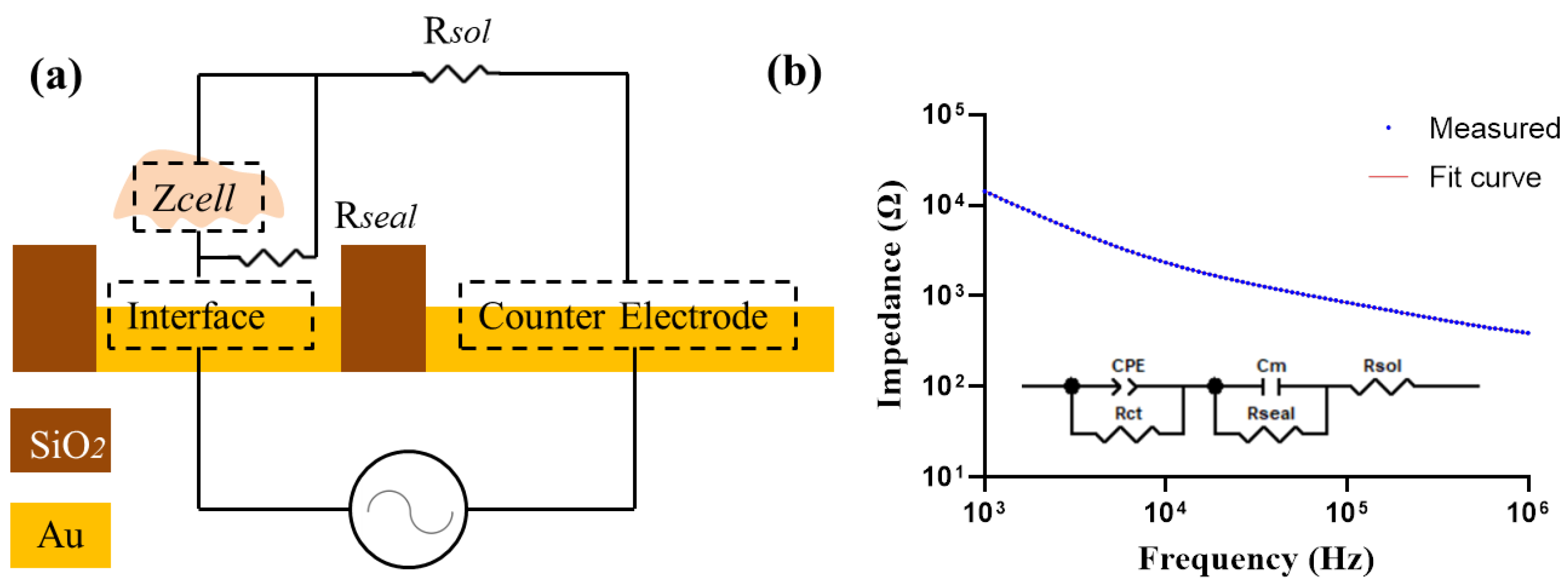 Biosensors 13 00322 g003