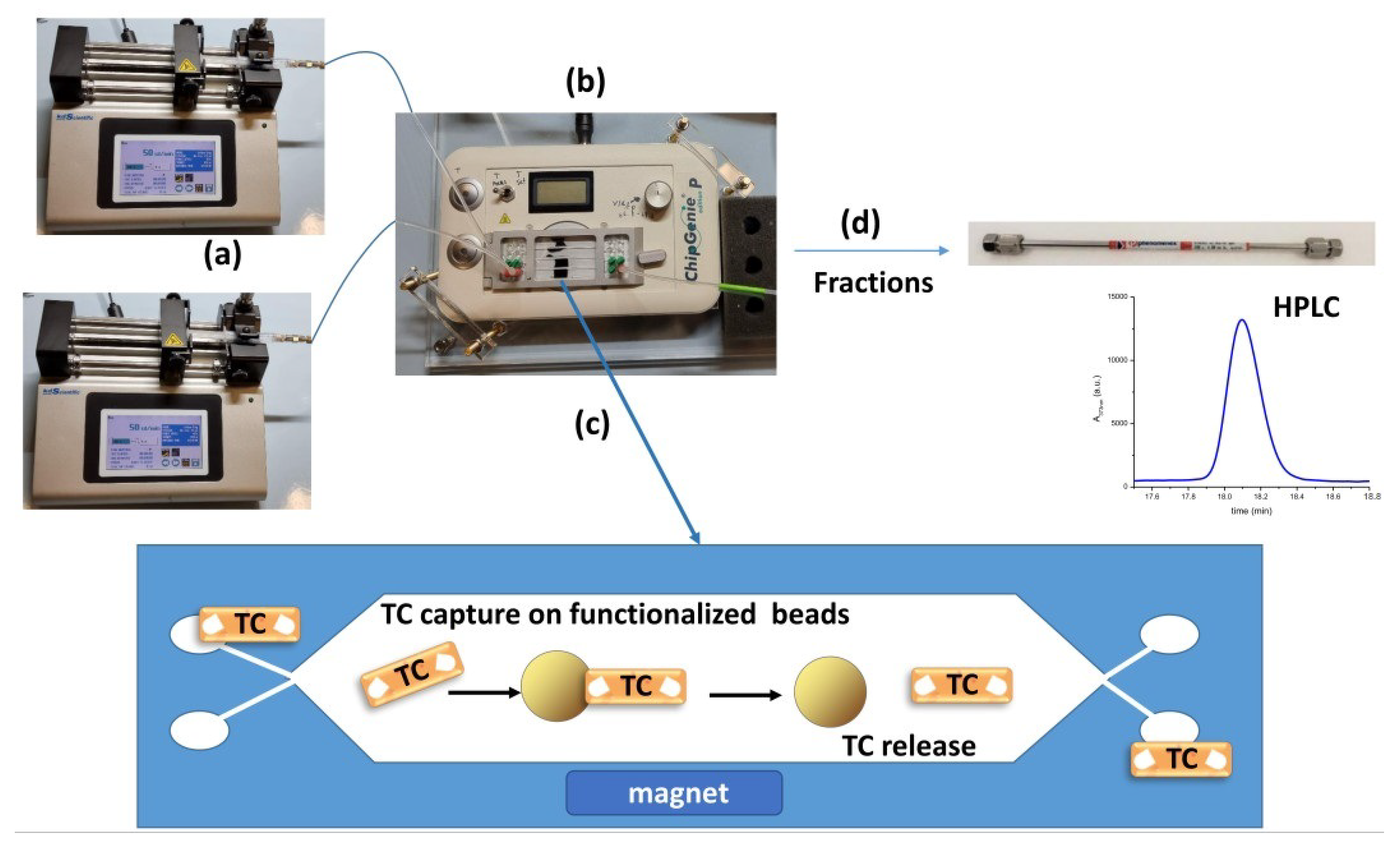 Biosensors 13 00325 g001