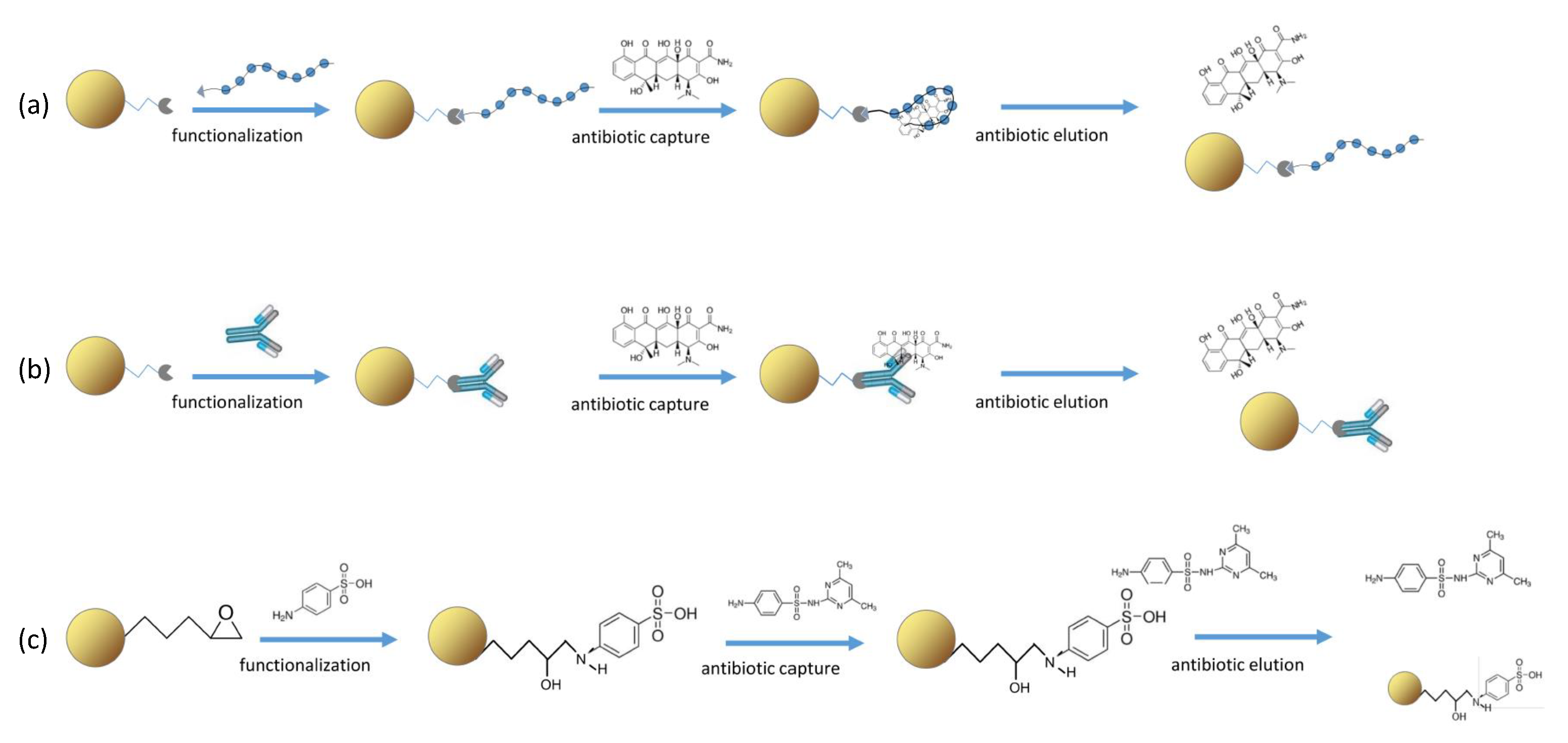 Biosensors 13 00325 g002