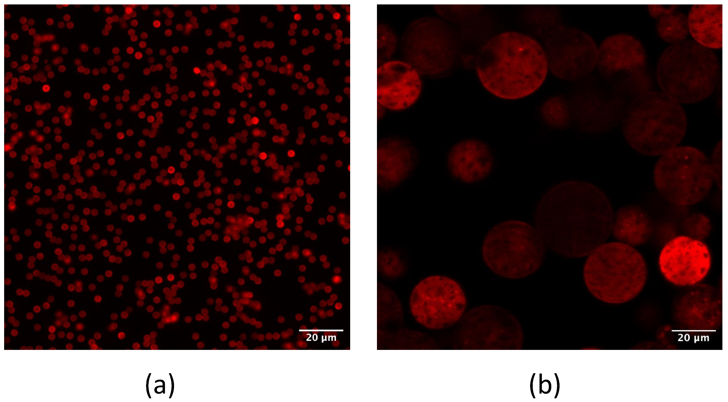 Biosensors 13 00325 g009