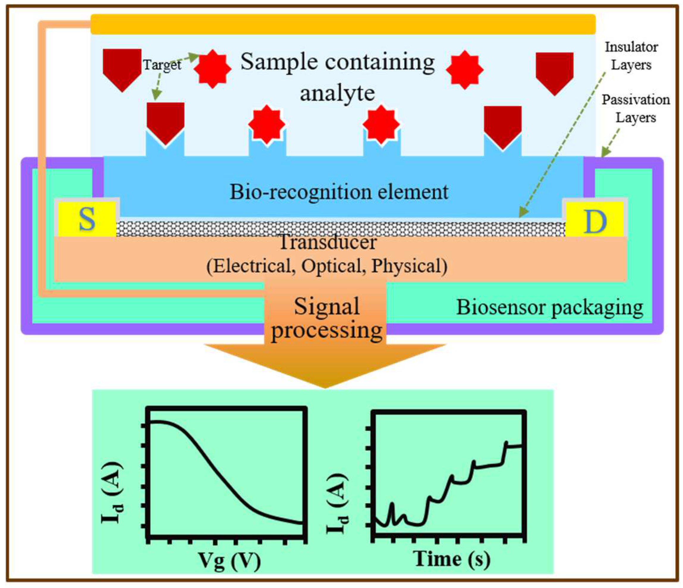 Biosensors 13 00326 g001 Biosensors 13 00326 g001