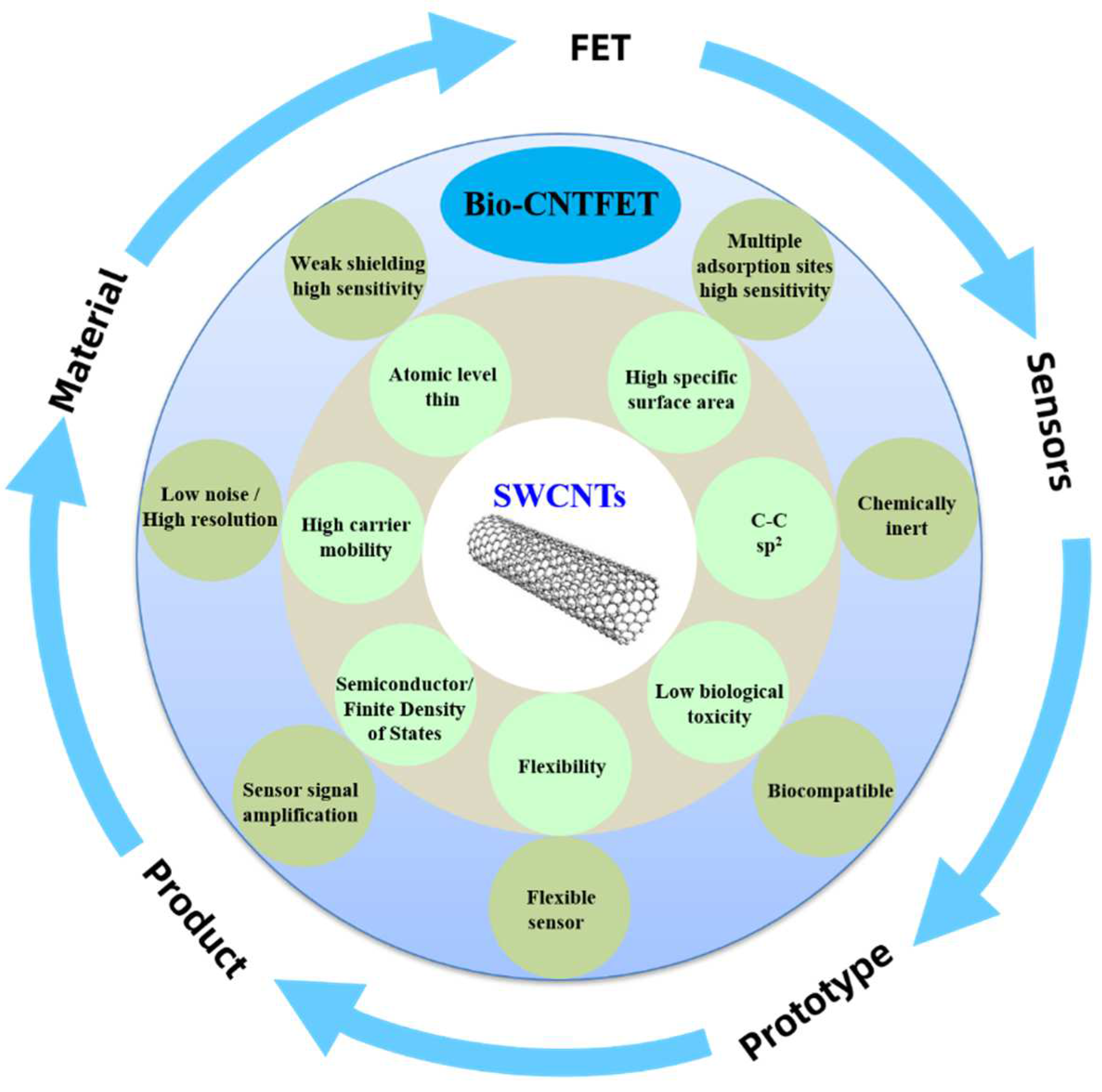 Biosensors 13 00326 g002 Biosensors 13 00326 g002