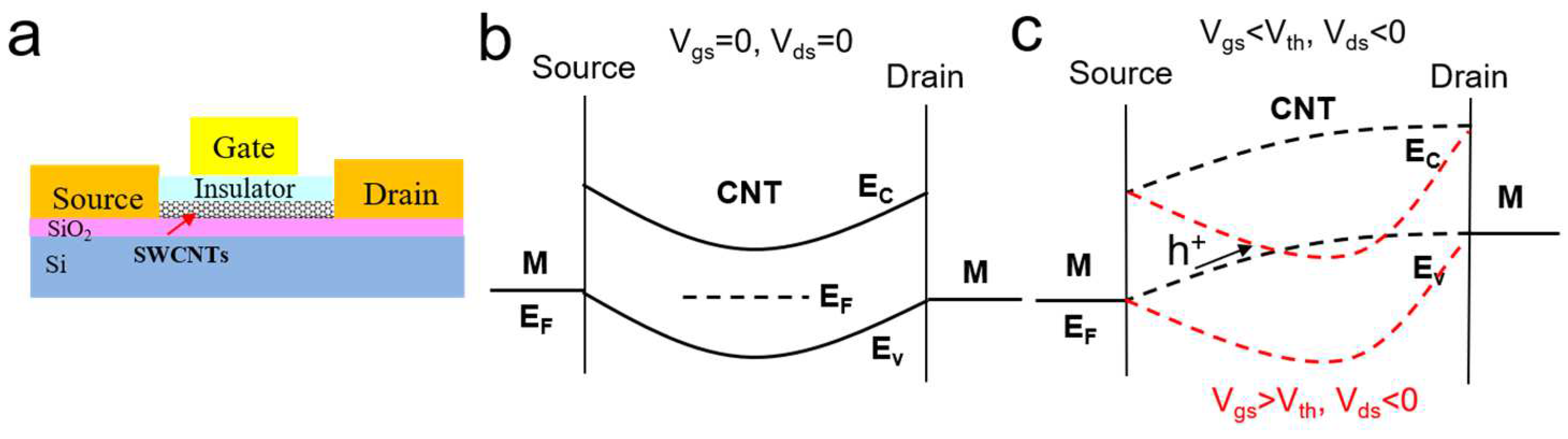 Biosensors 13 00326 g005 Biosensors 13 00326 g005