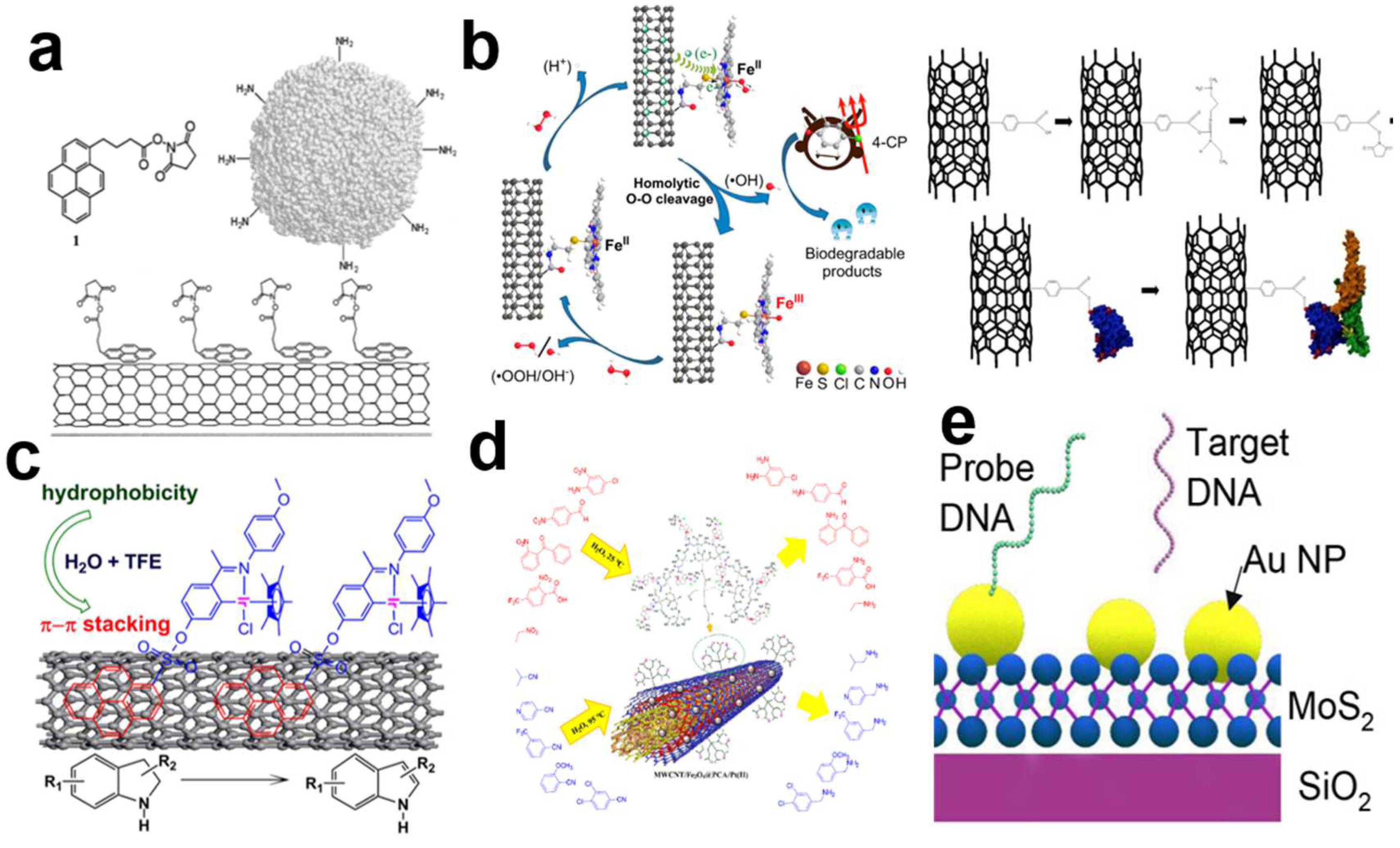 Biosensors 13 00326 g007 Biosensors 13 00326 g007