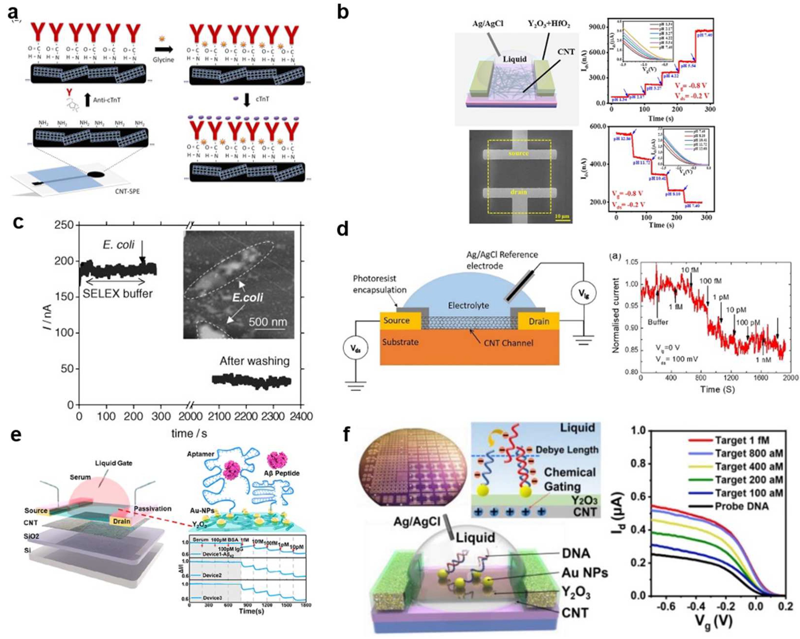 Biosensors 13 00326 g009 Biosensors 13 00326 g009