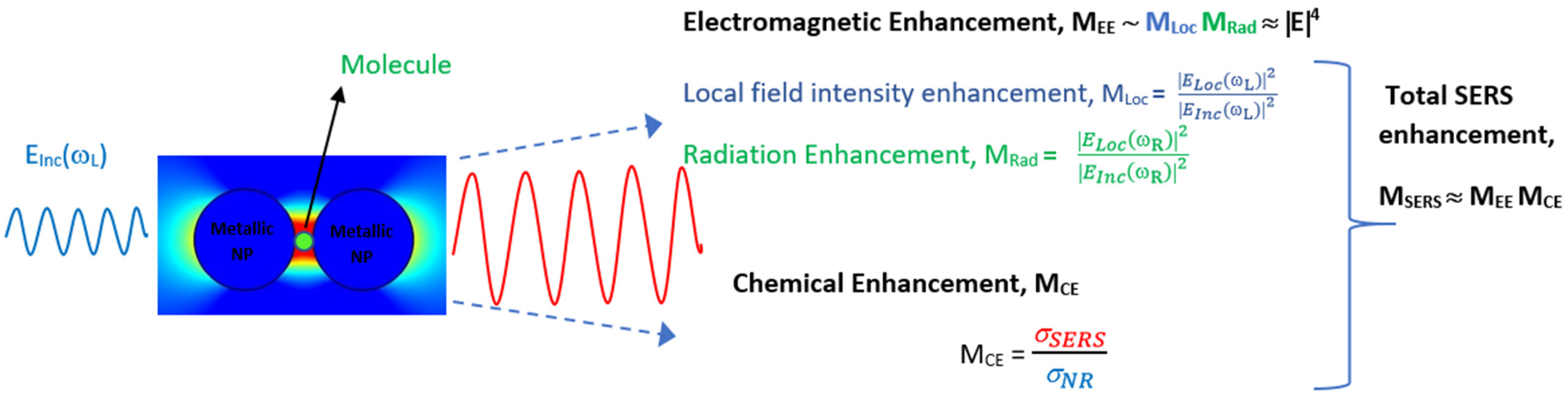 Biosensors 13 00328 g001