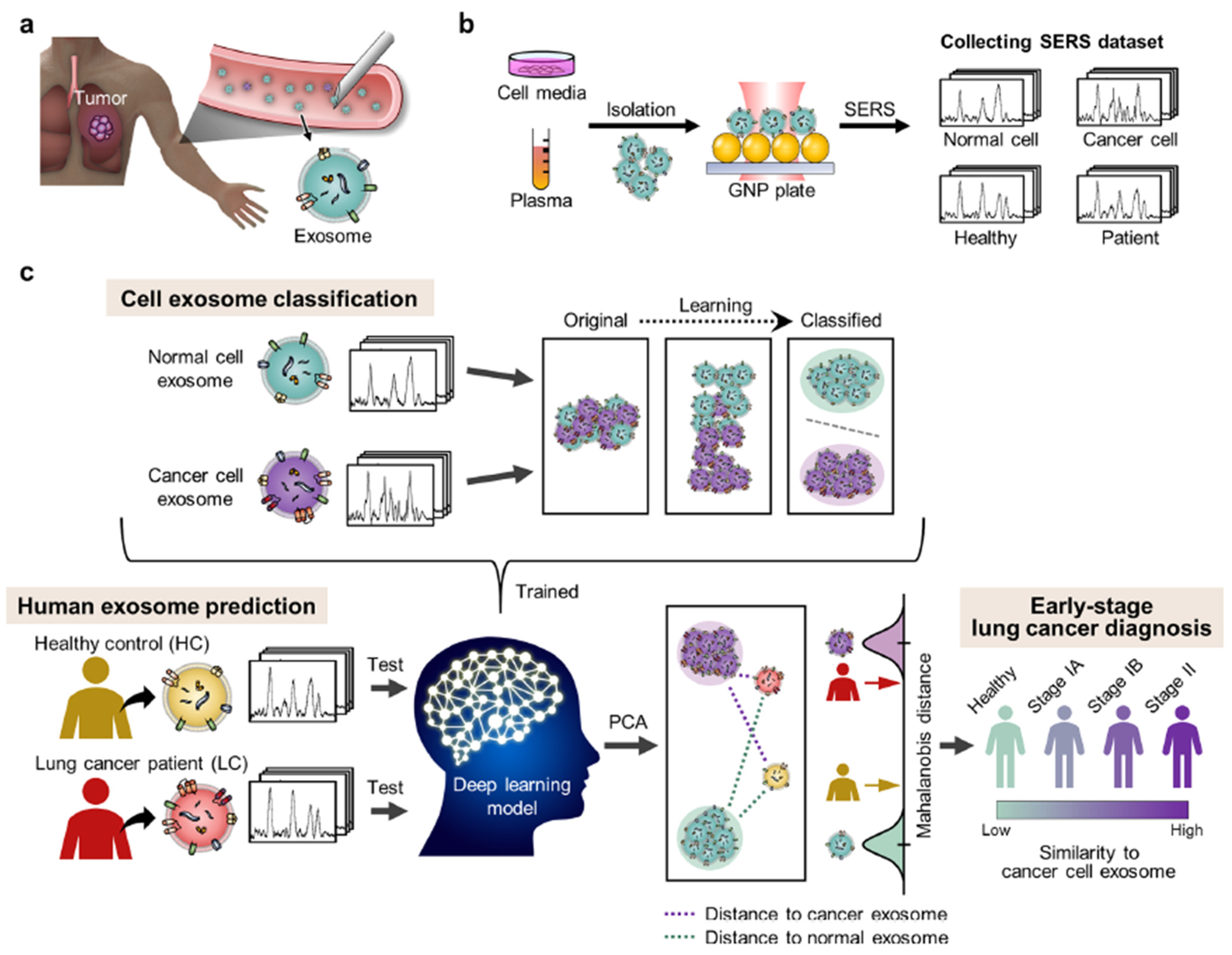 Biosensors 13 00328 g003