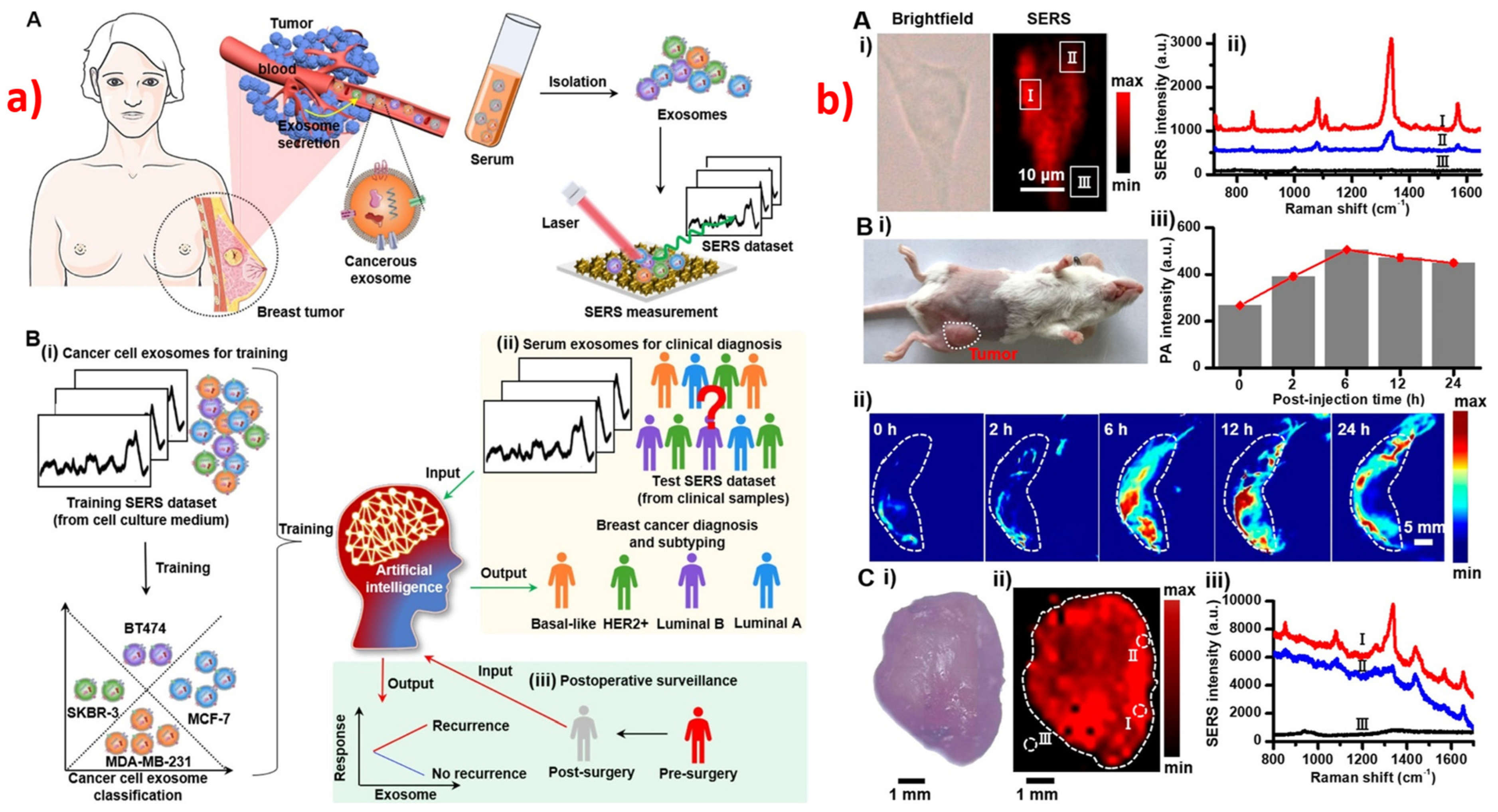 Biosensors 13 00328 g004