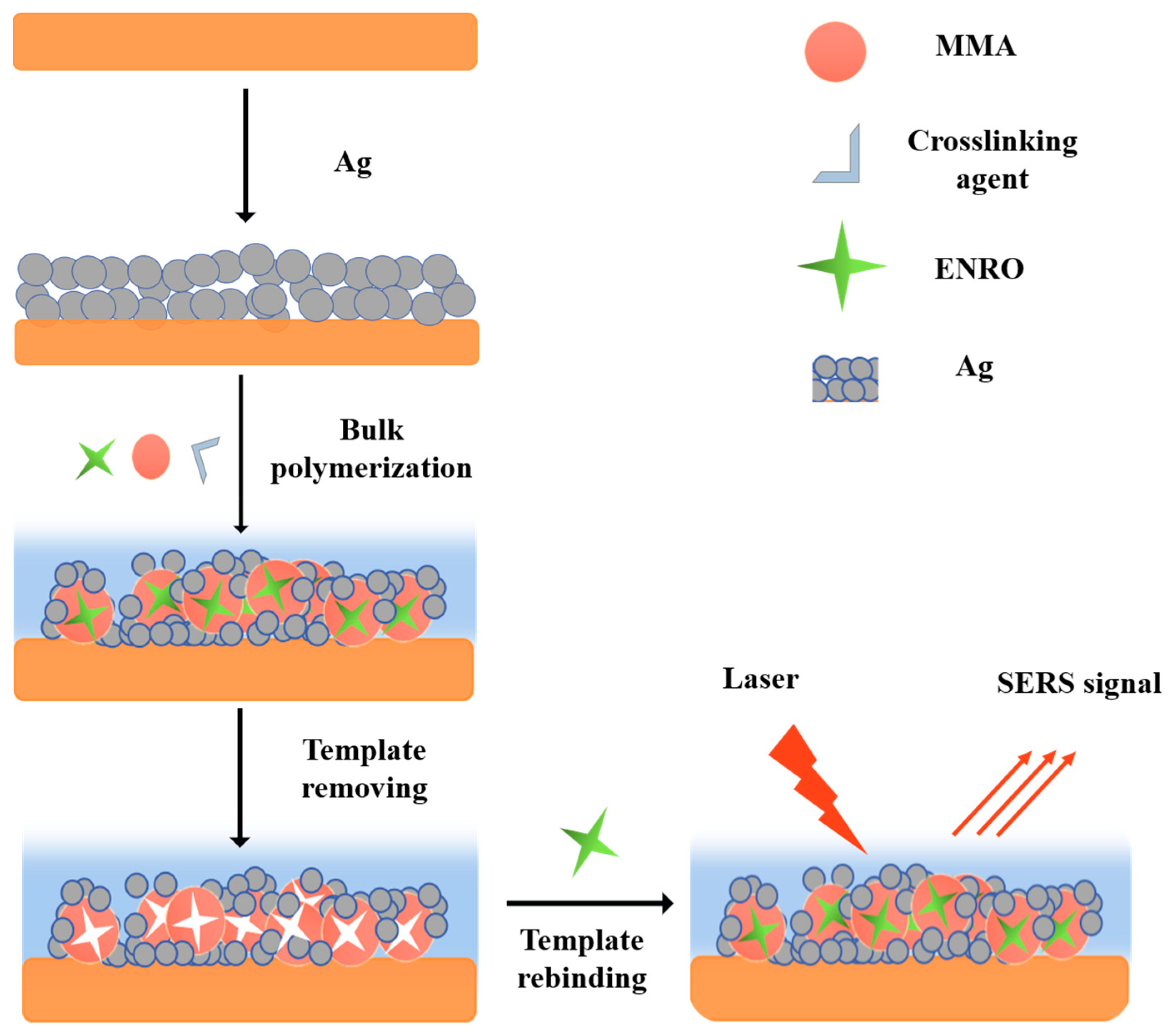 Biosensors 13 00330 g001