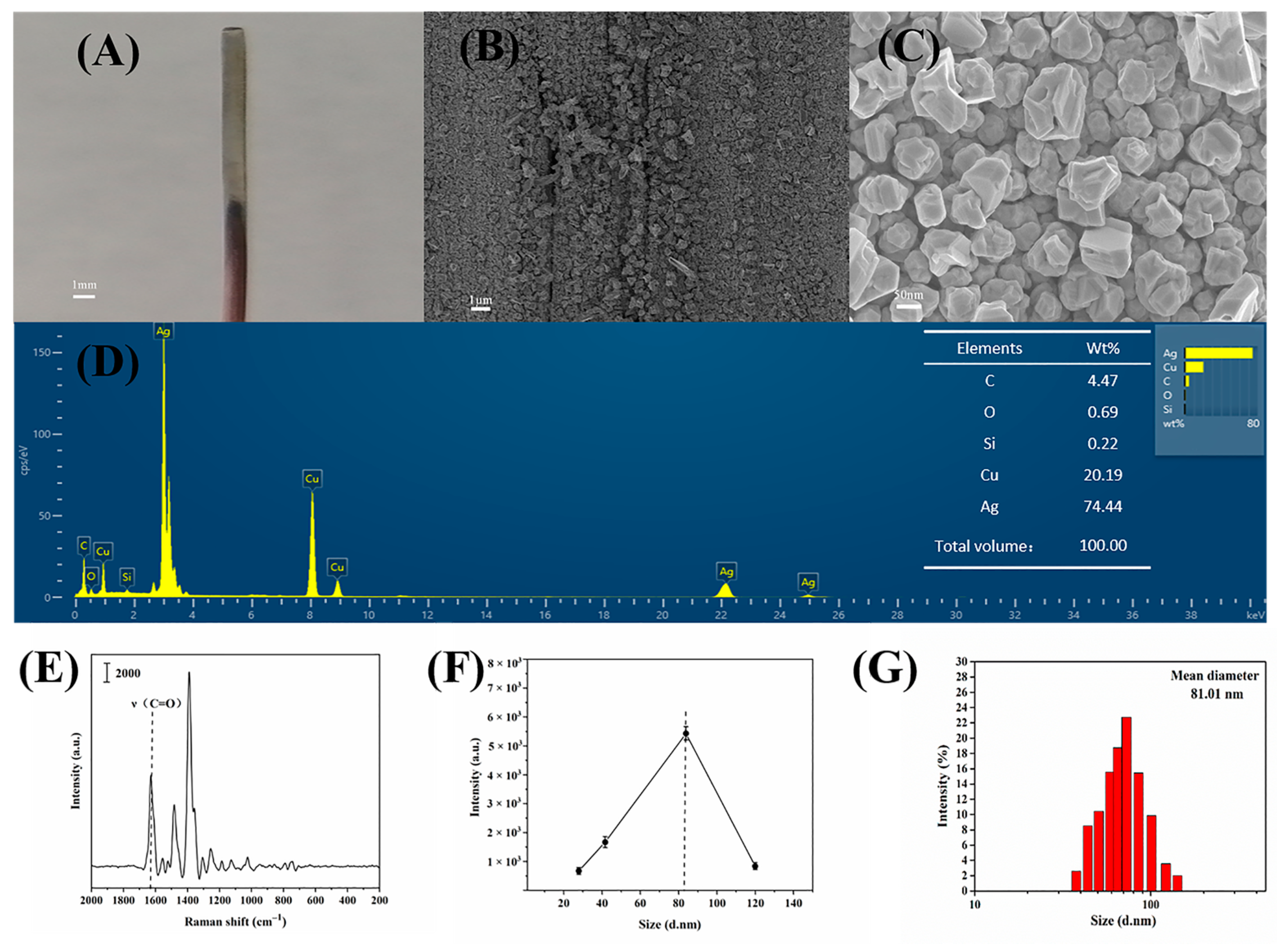 Biosensors 13 00330 g002