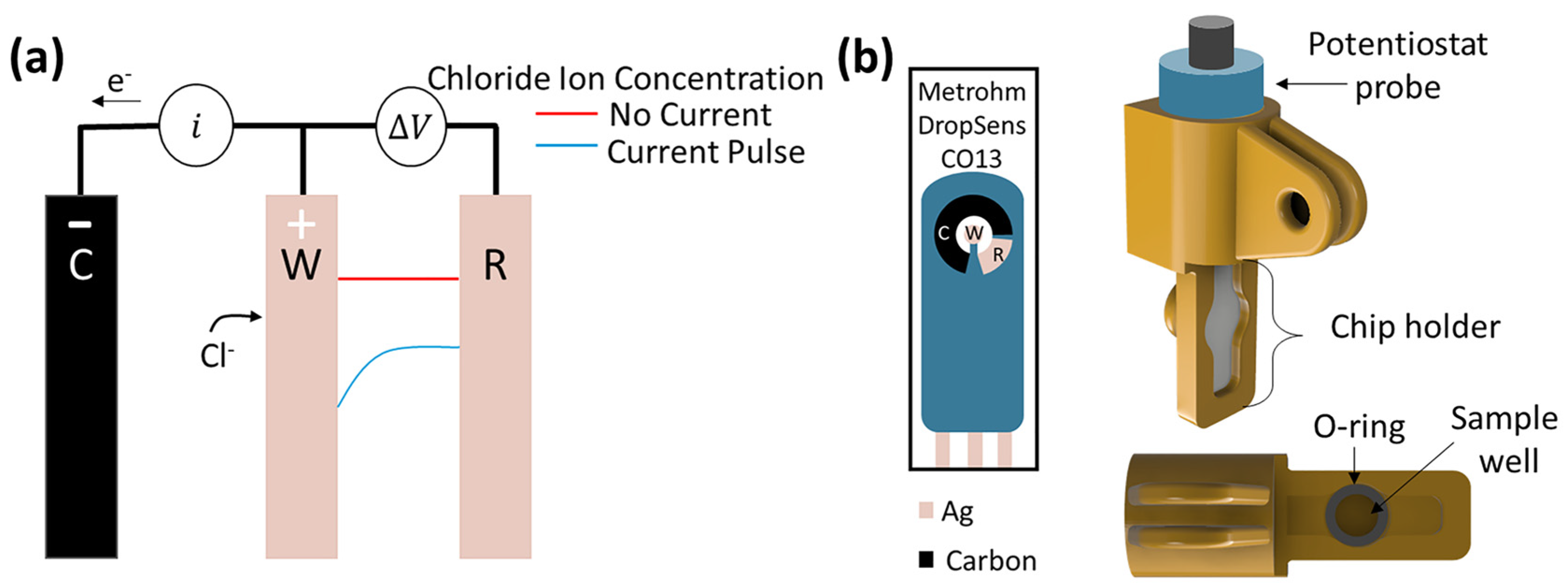 Biosensors 13 00331 g001 Biosensors 13 00331 g001