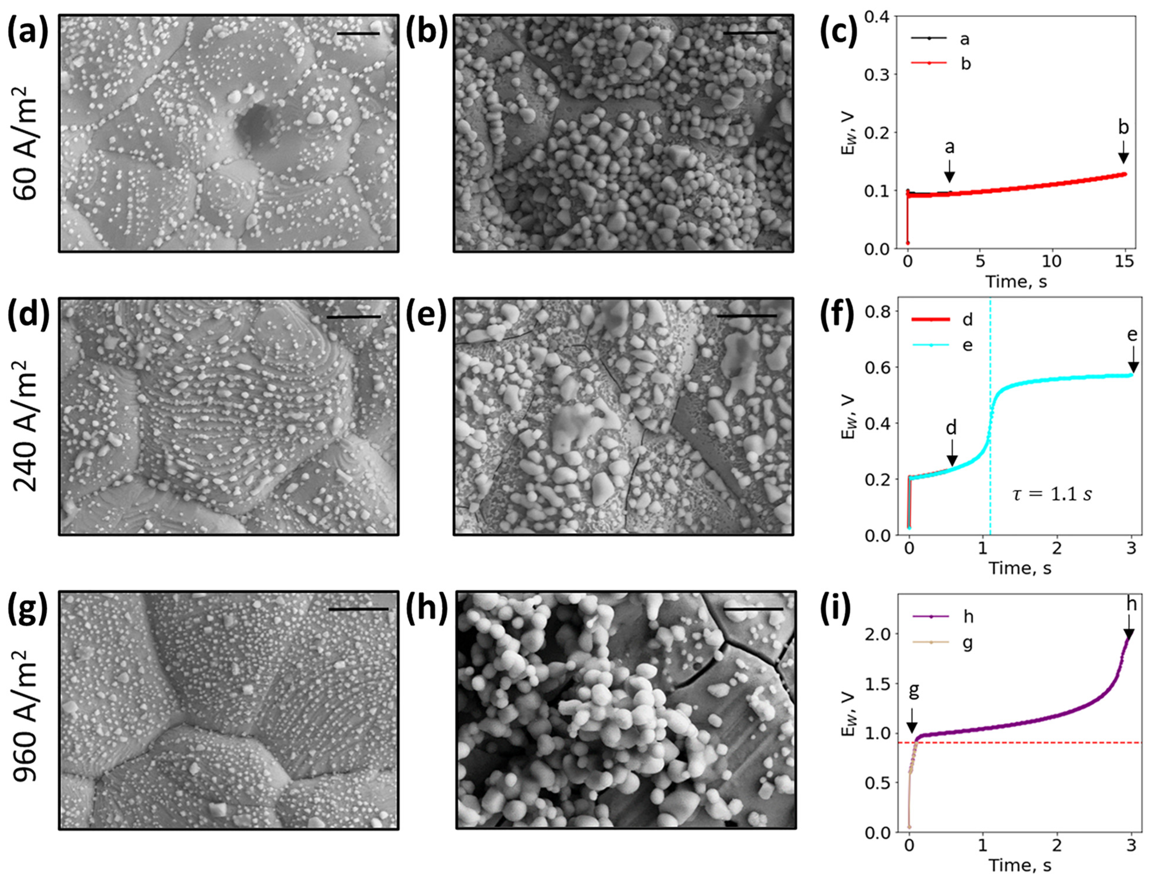 Biosensors 13 00331 g003 Biosensors 13 00331 g003