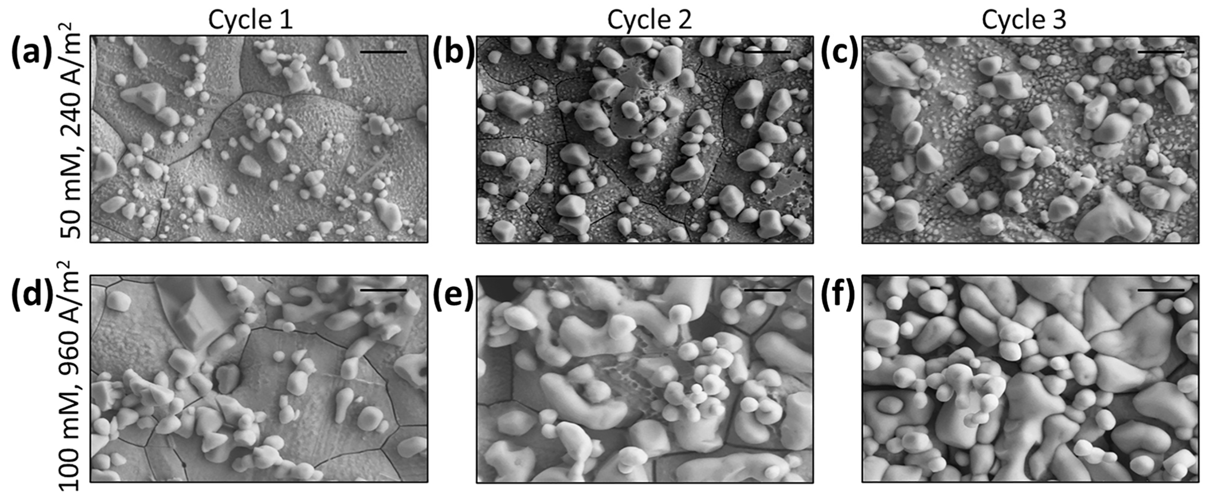 Biosensors 13 00331 g008 Biosensors 13 00331 g008