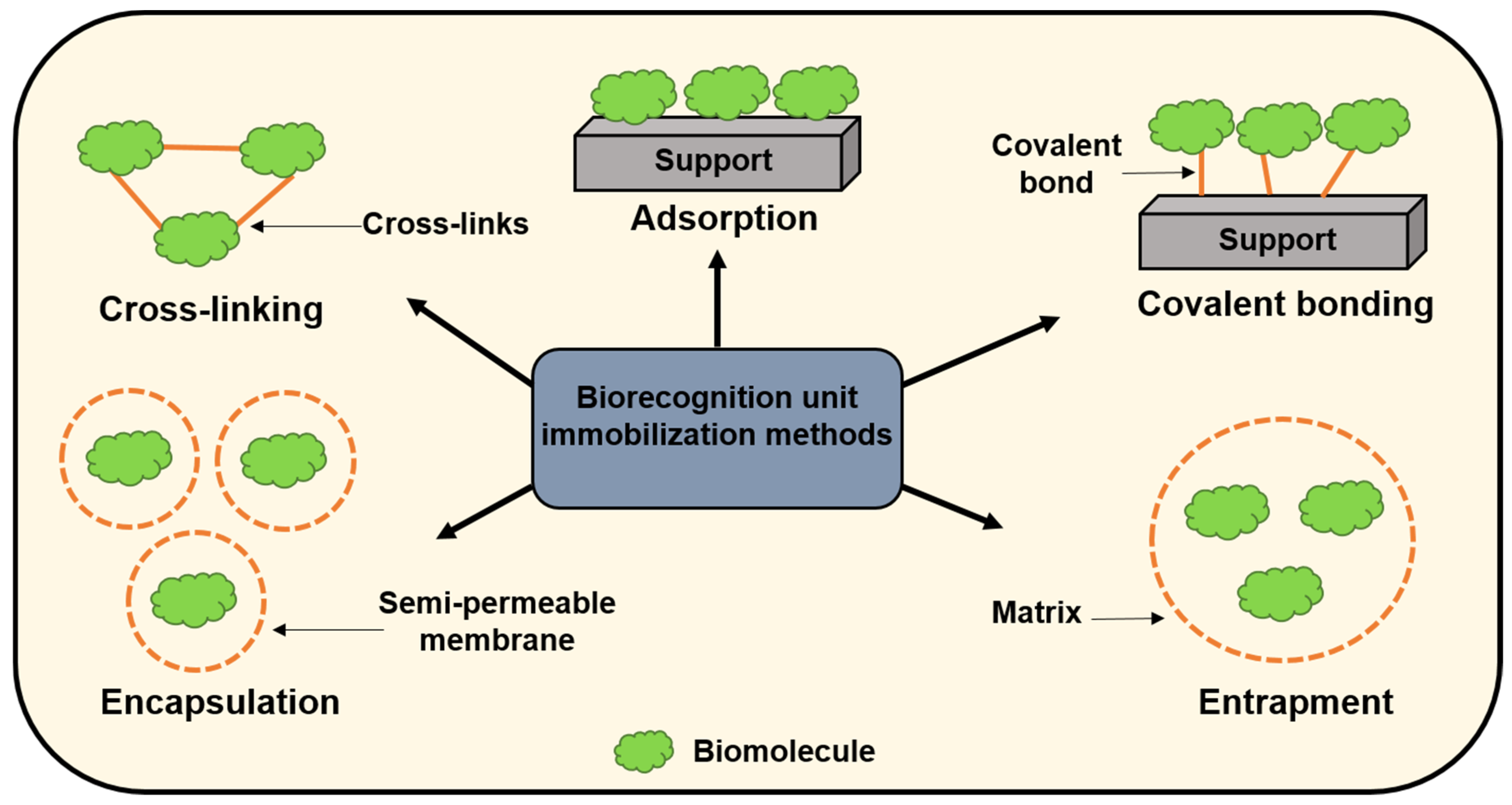 Biosensors 13 00333 g002