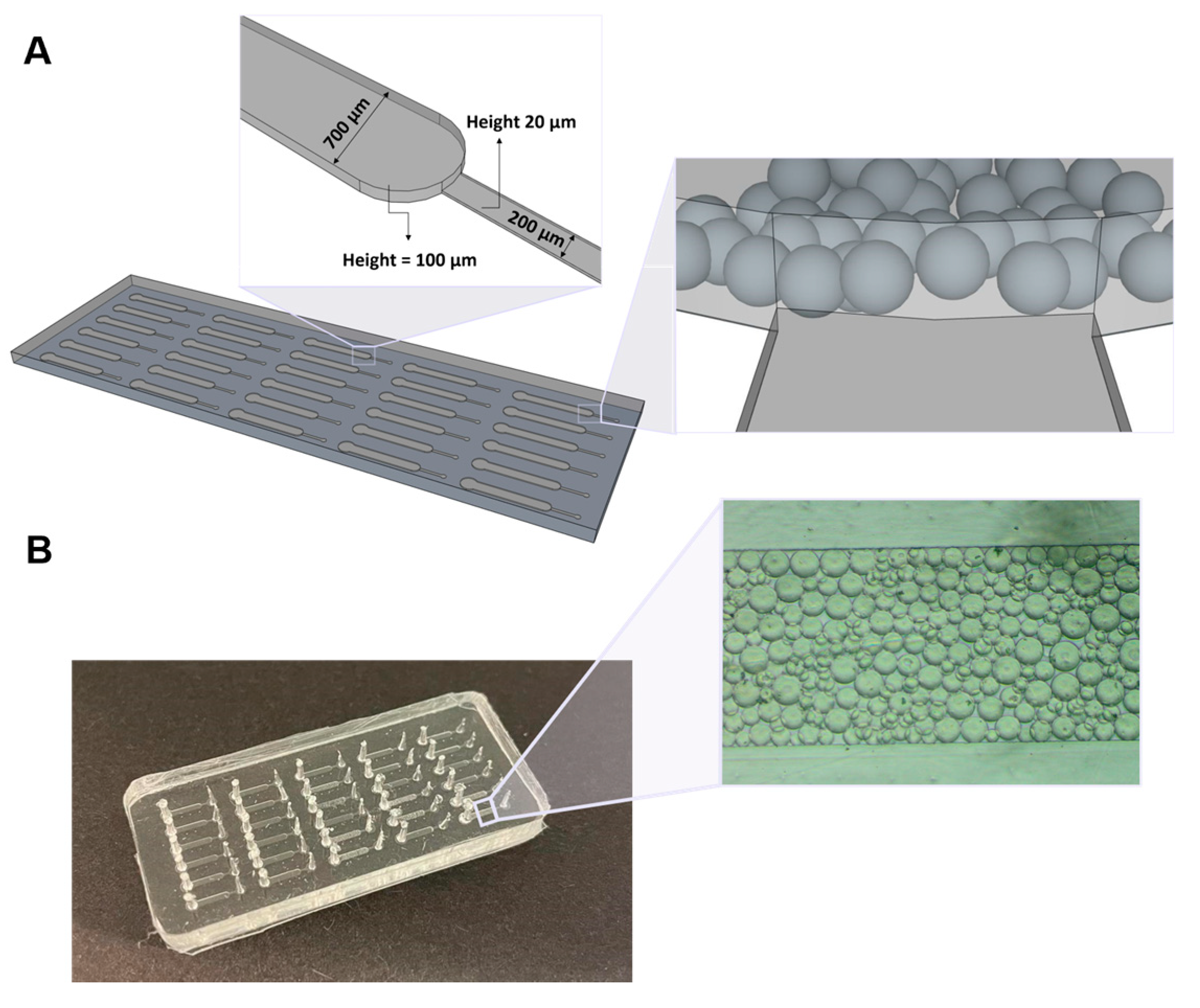 Biosensors 13 00334 g001