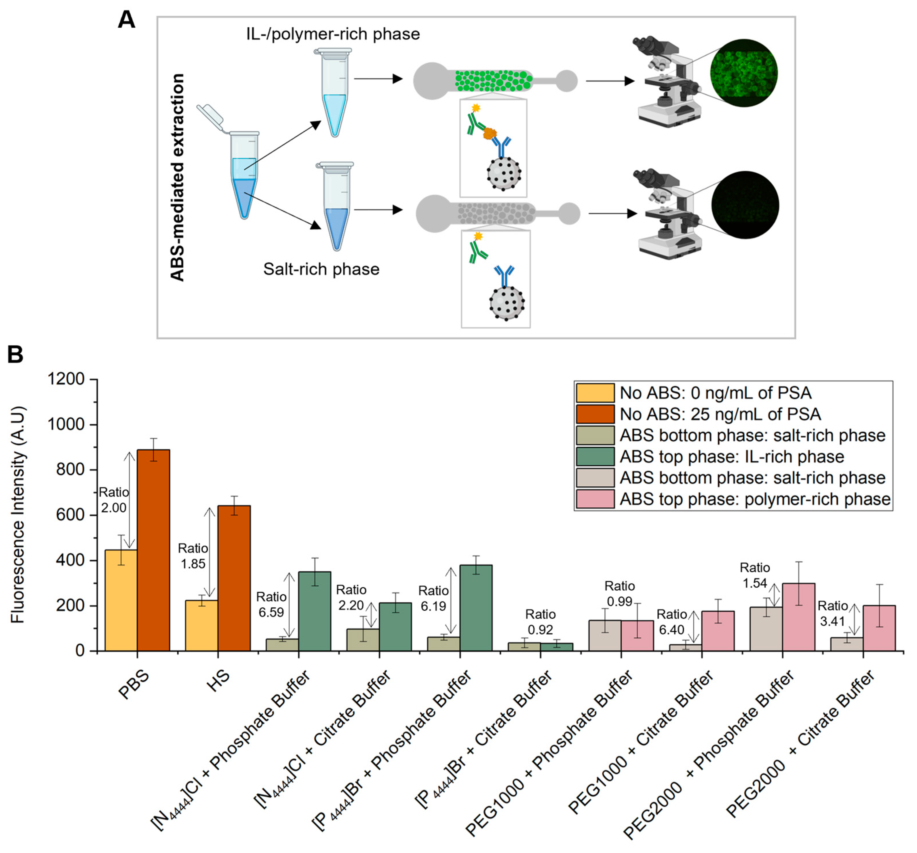 Biosensors 13 00334 g004