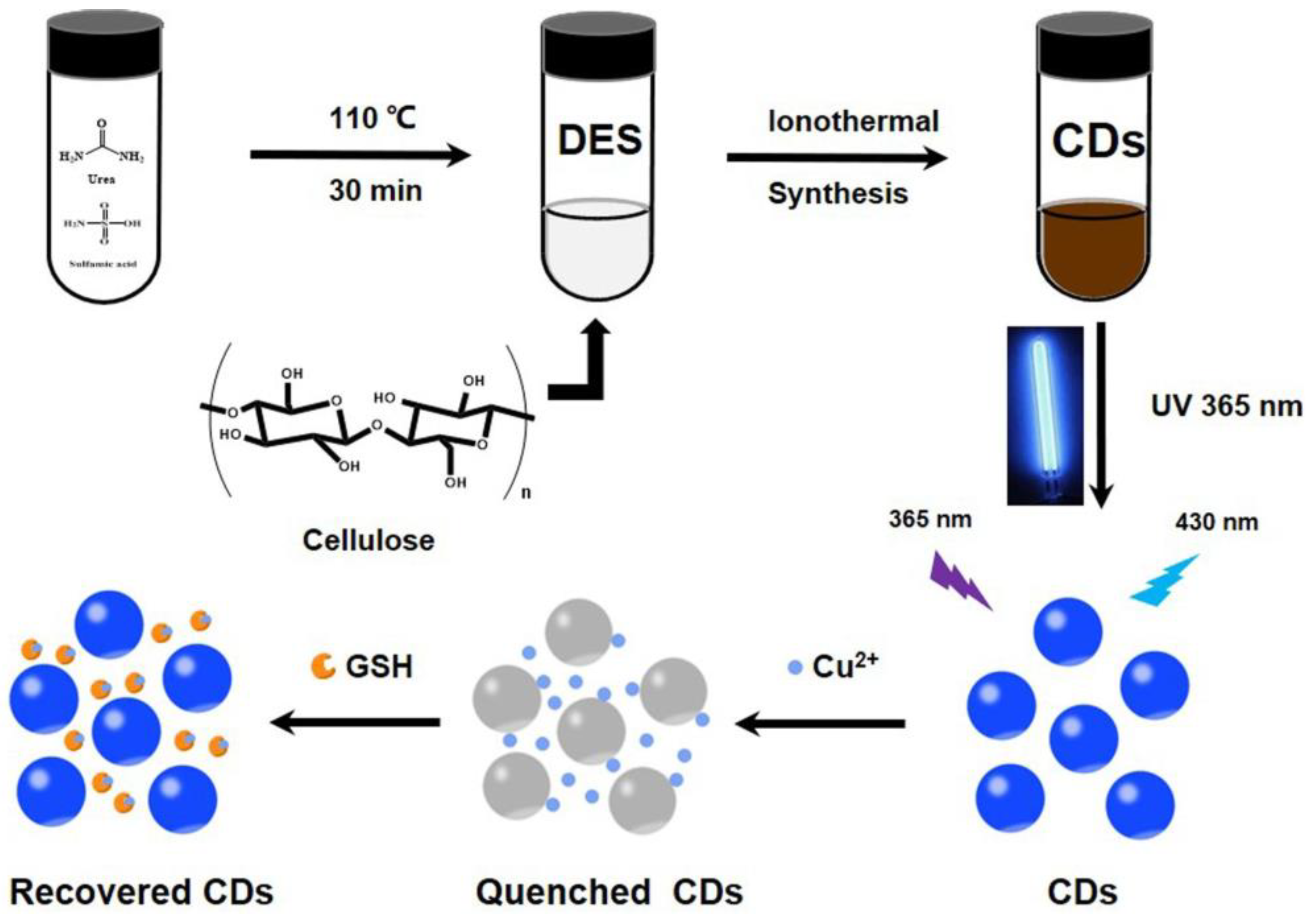 Biosensors 13 00335 g008 Biosensors 13 00335 g008