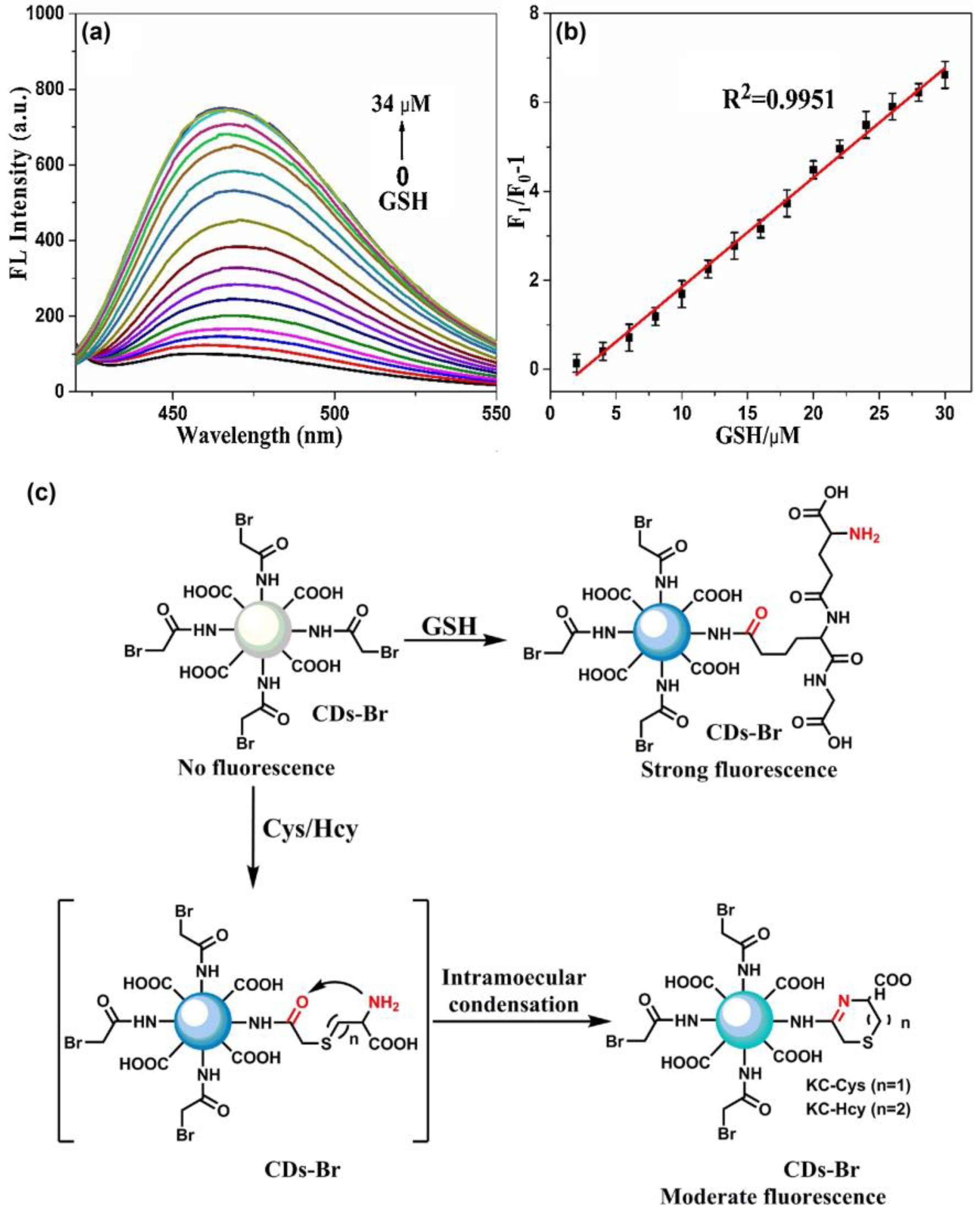 Biosensors 13 00335 g012 Biosensors 13 00335 g012