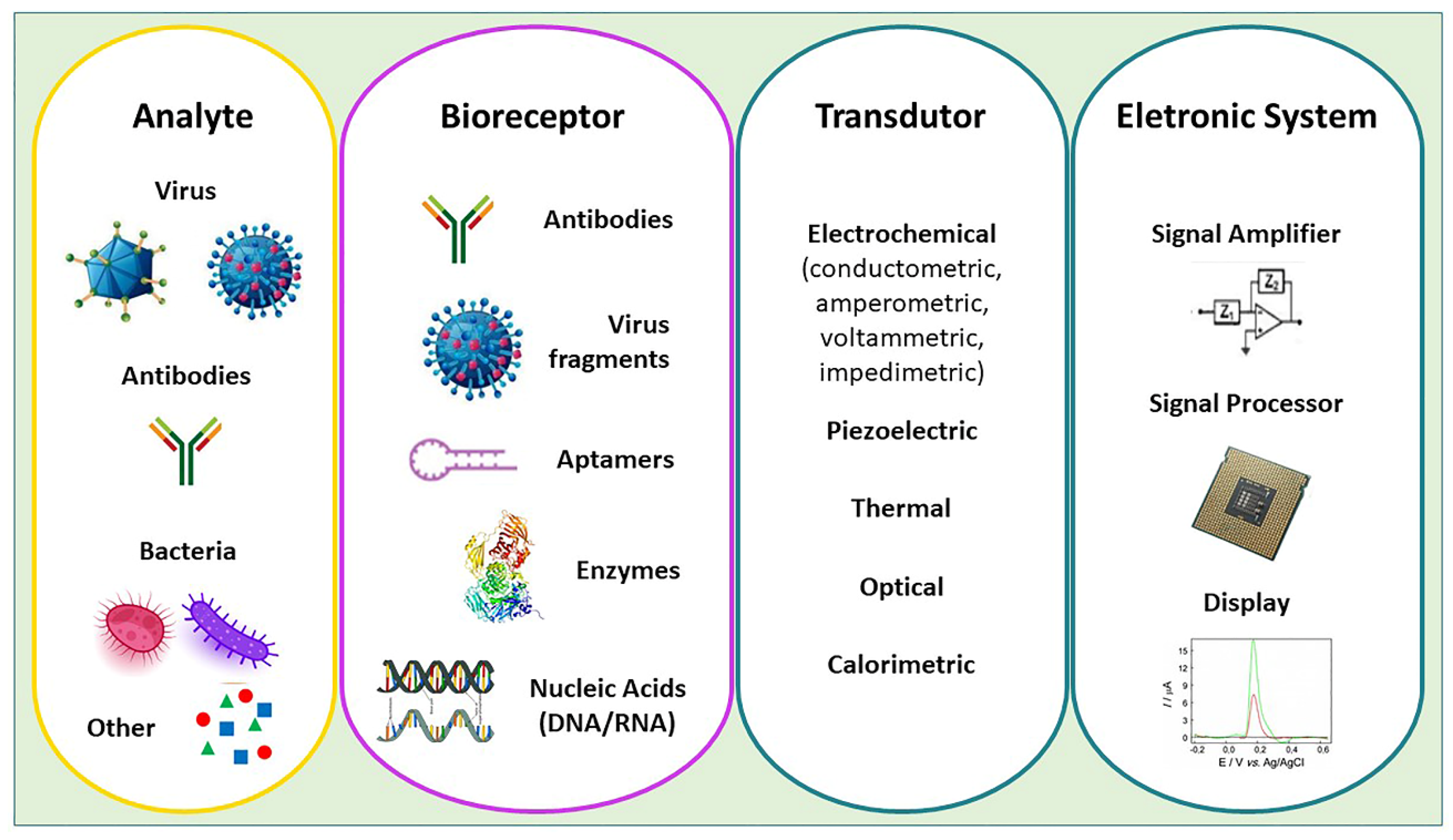 Biosensors 13 00336 g002