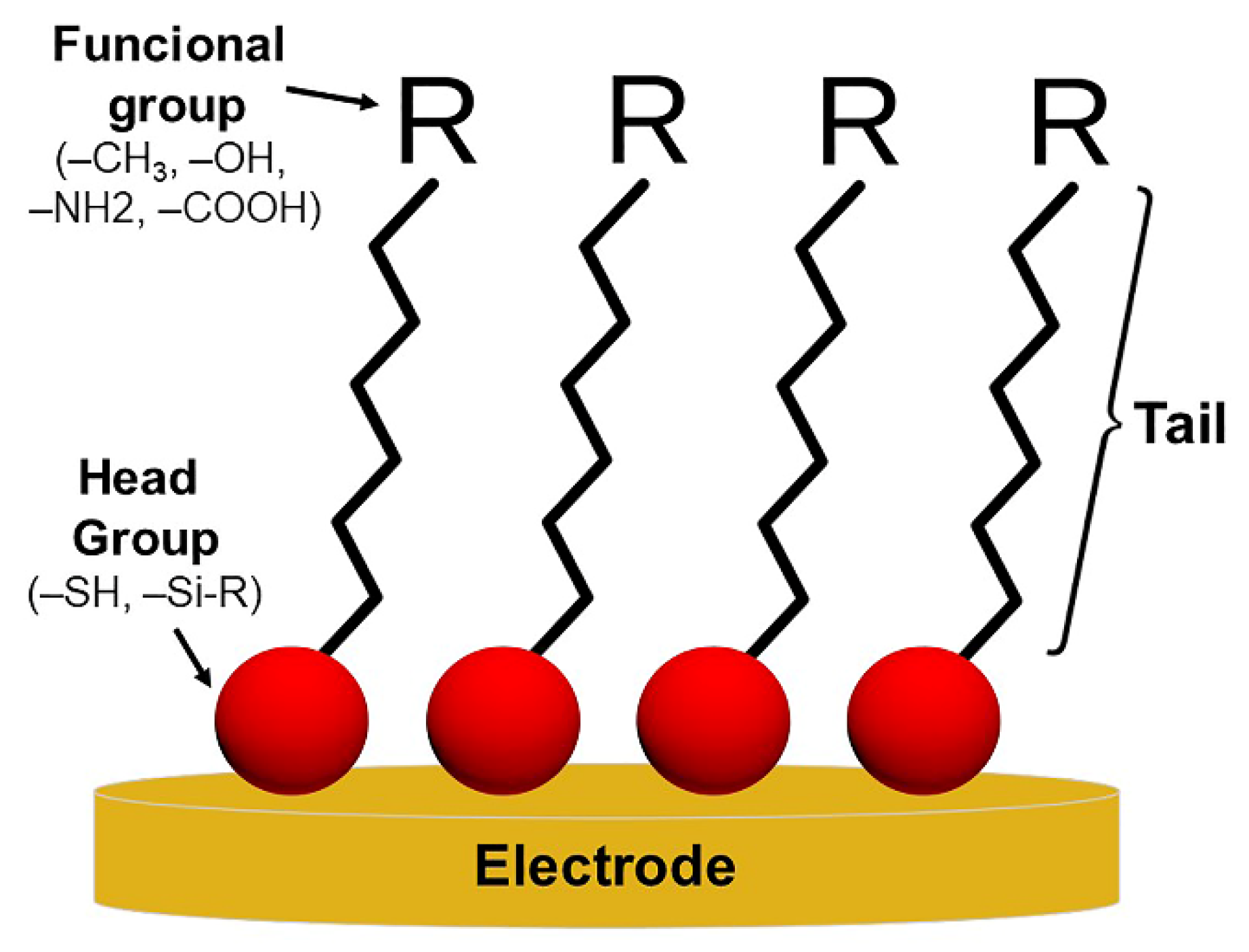 Biosensors 13 00336 g003