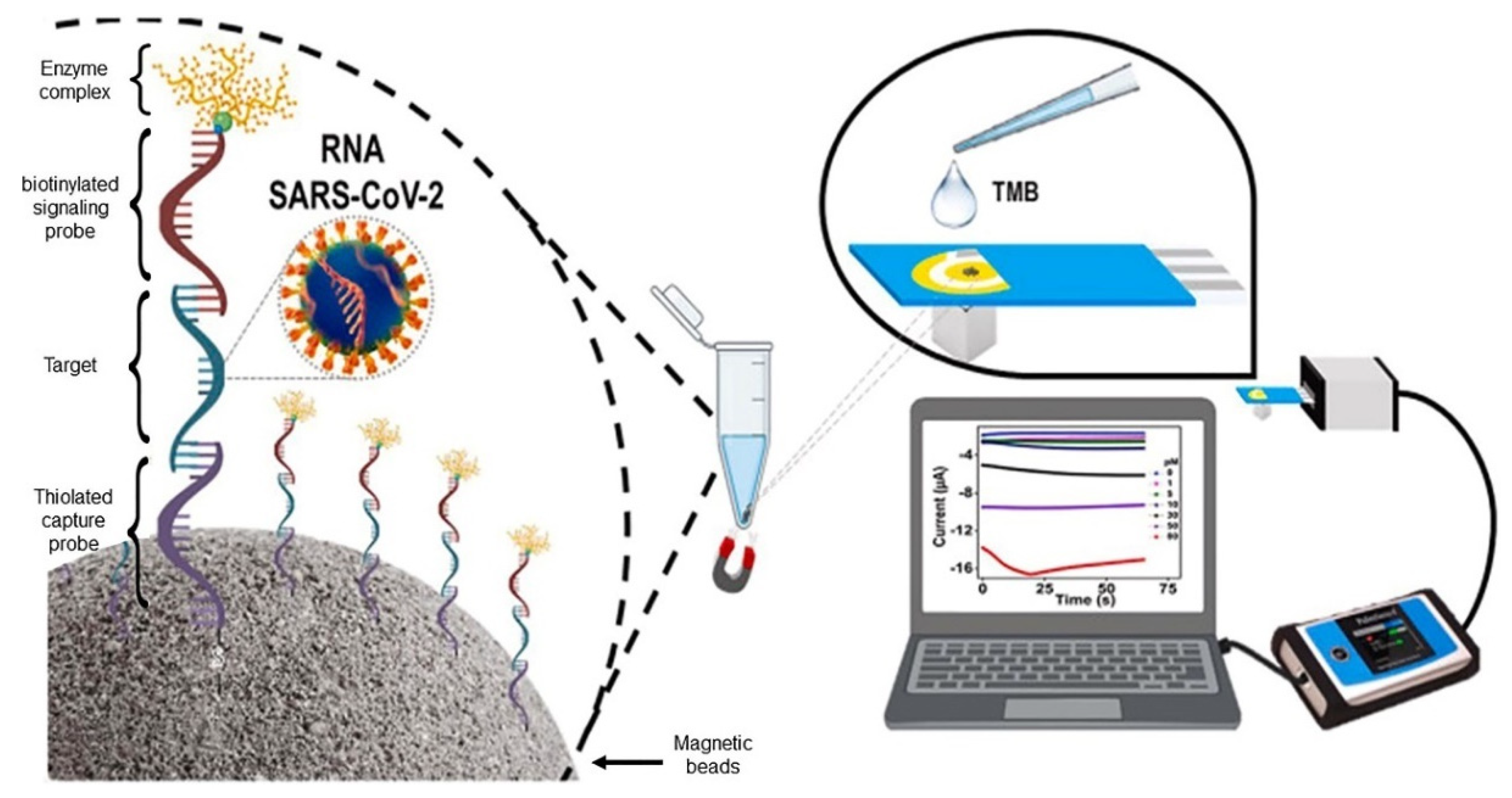 Biosensors 13 00336 g007