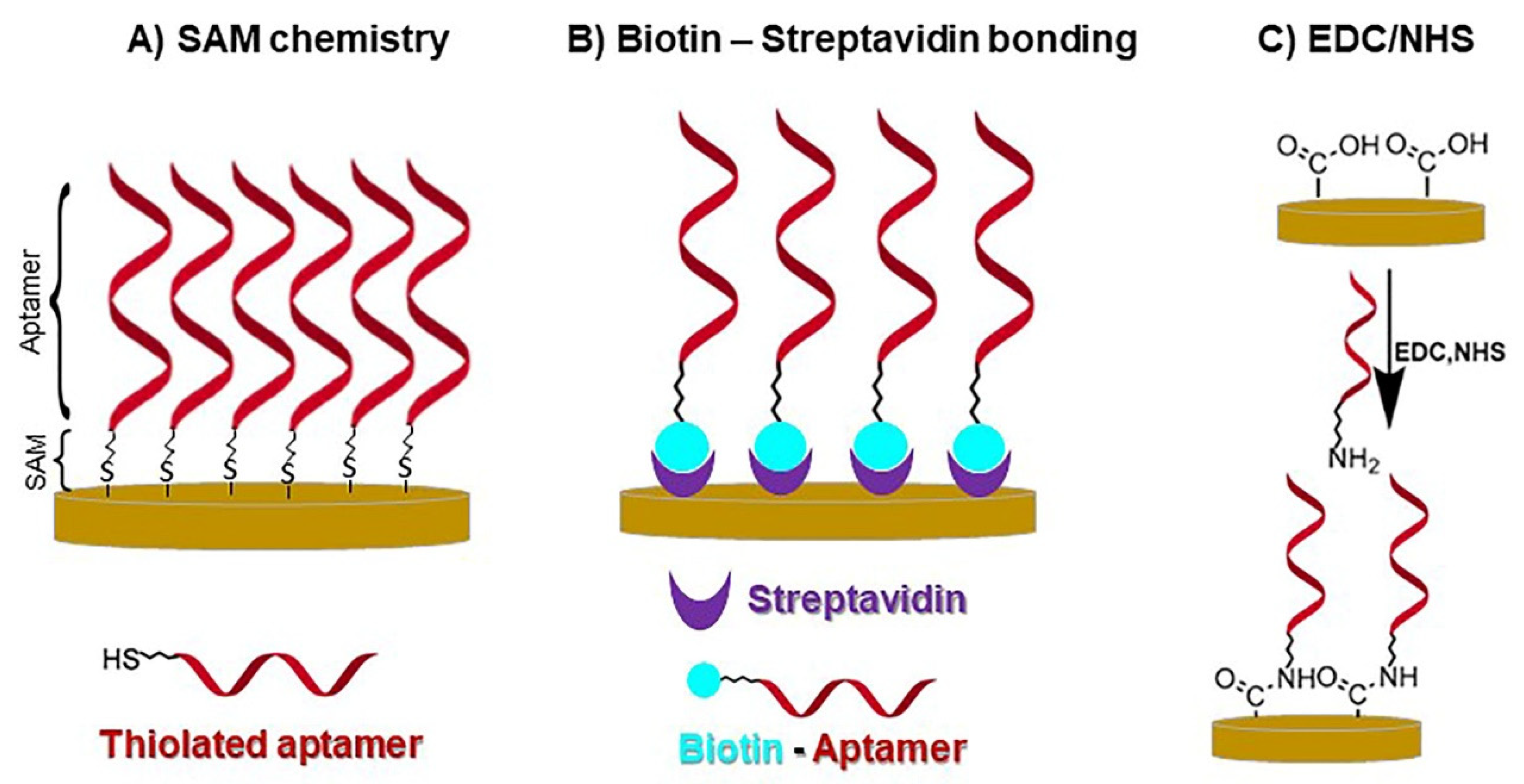 Biosensors 13 00336 g008