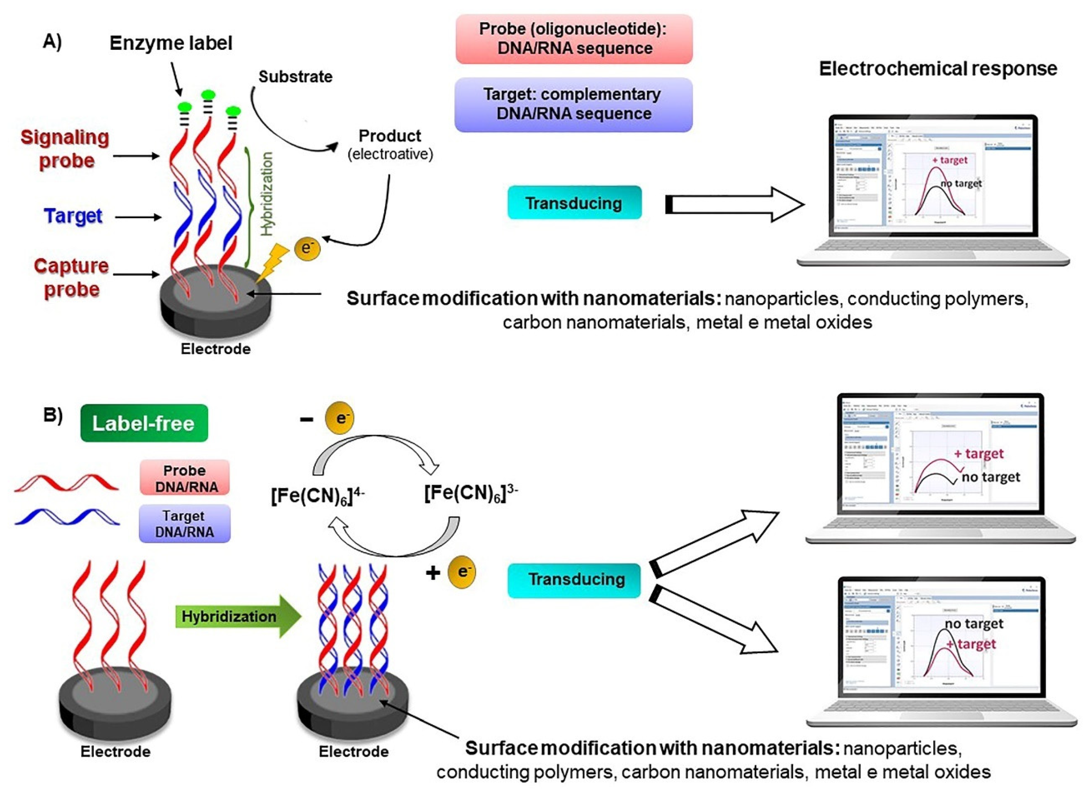 Biosensors 13 00336 sch002