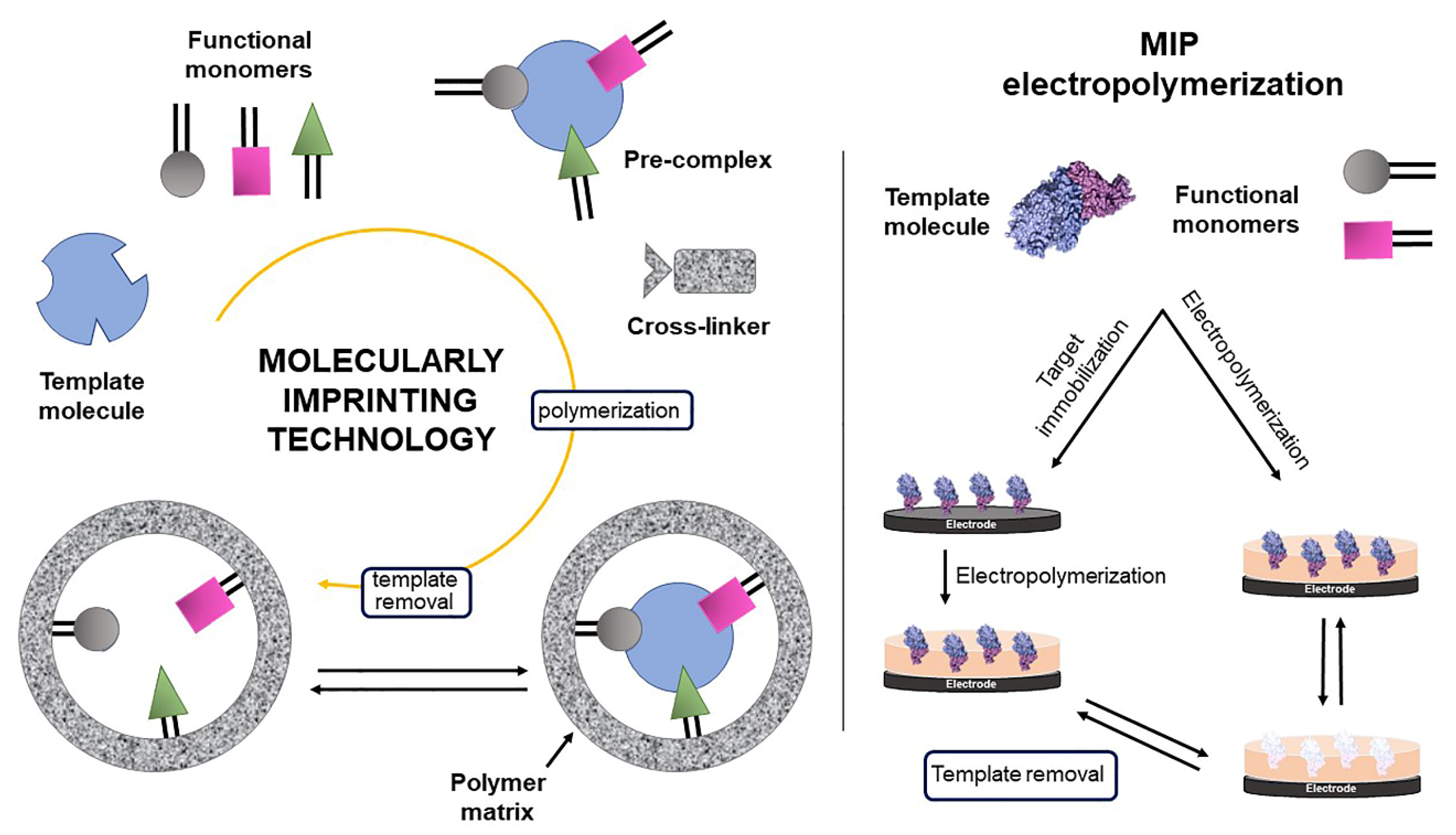 Biosensors 13 00336 sch003