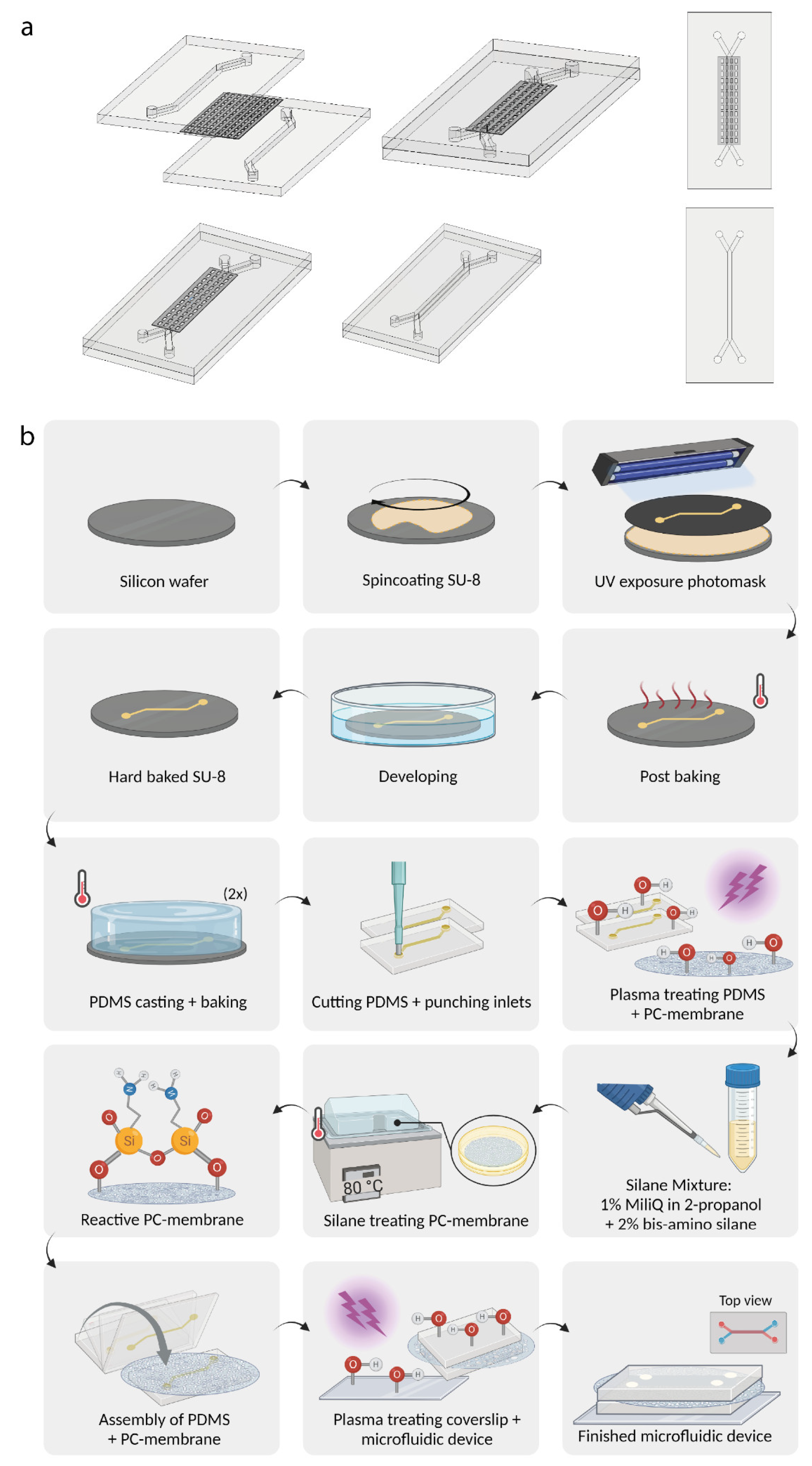 Biosensors 13 00339 g001
