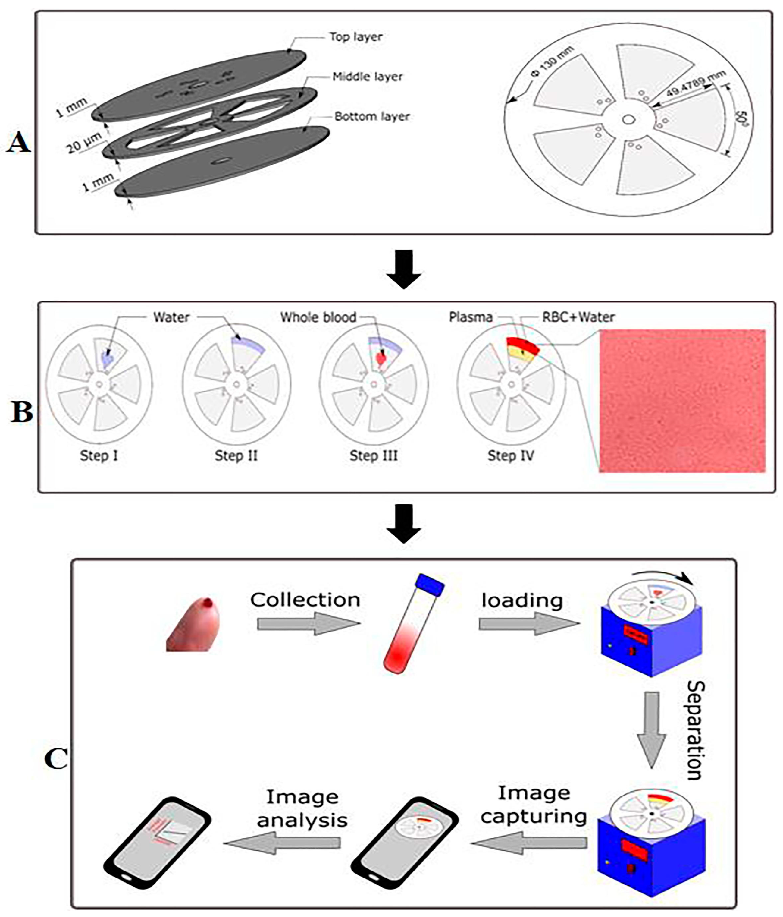 Biosensors 13 00345 g002