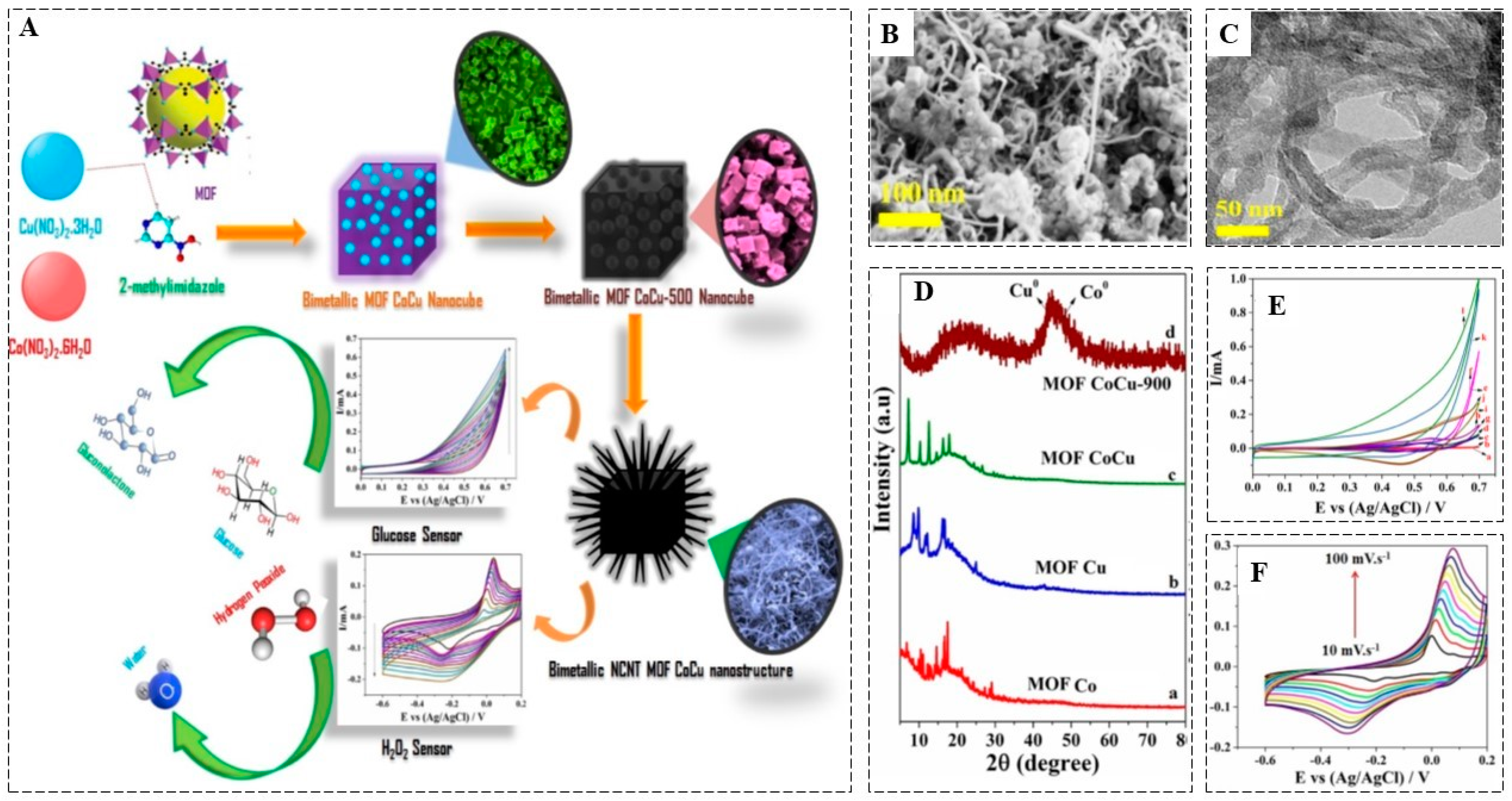 Biosensors 13 00347 g001 Biosensors 13 00347 g001