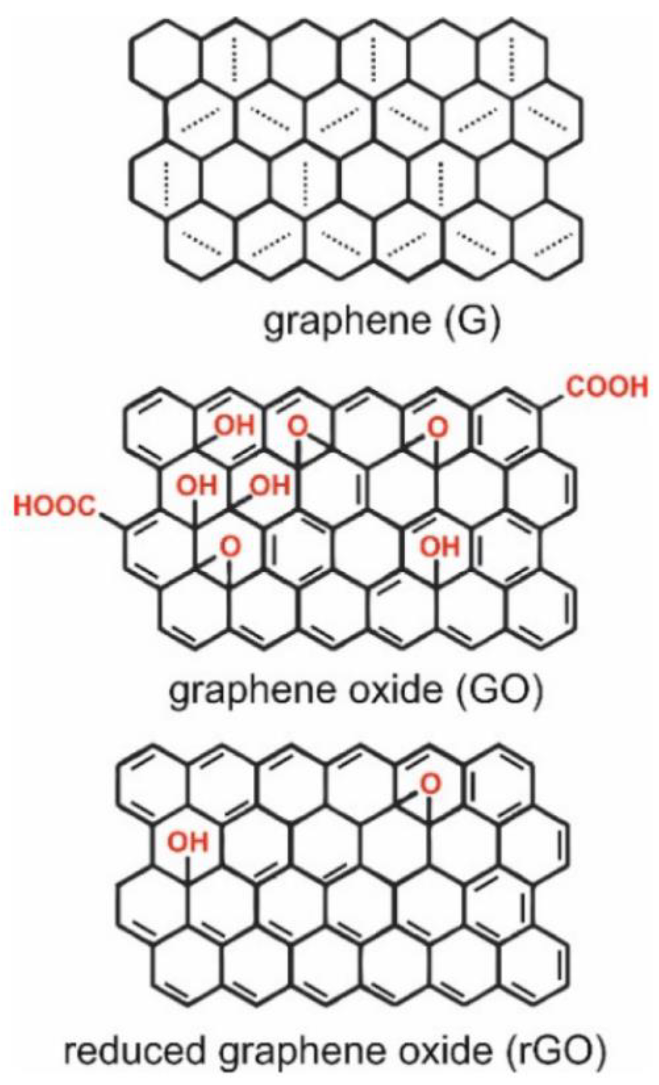 Biosensors 13 00349 g001