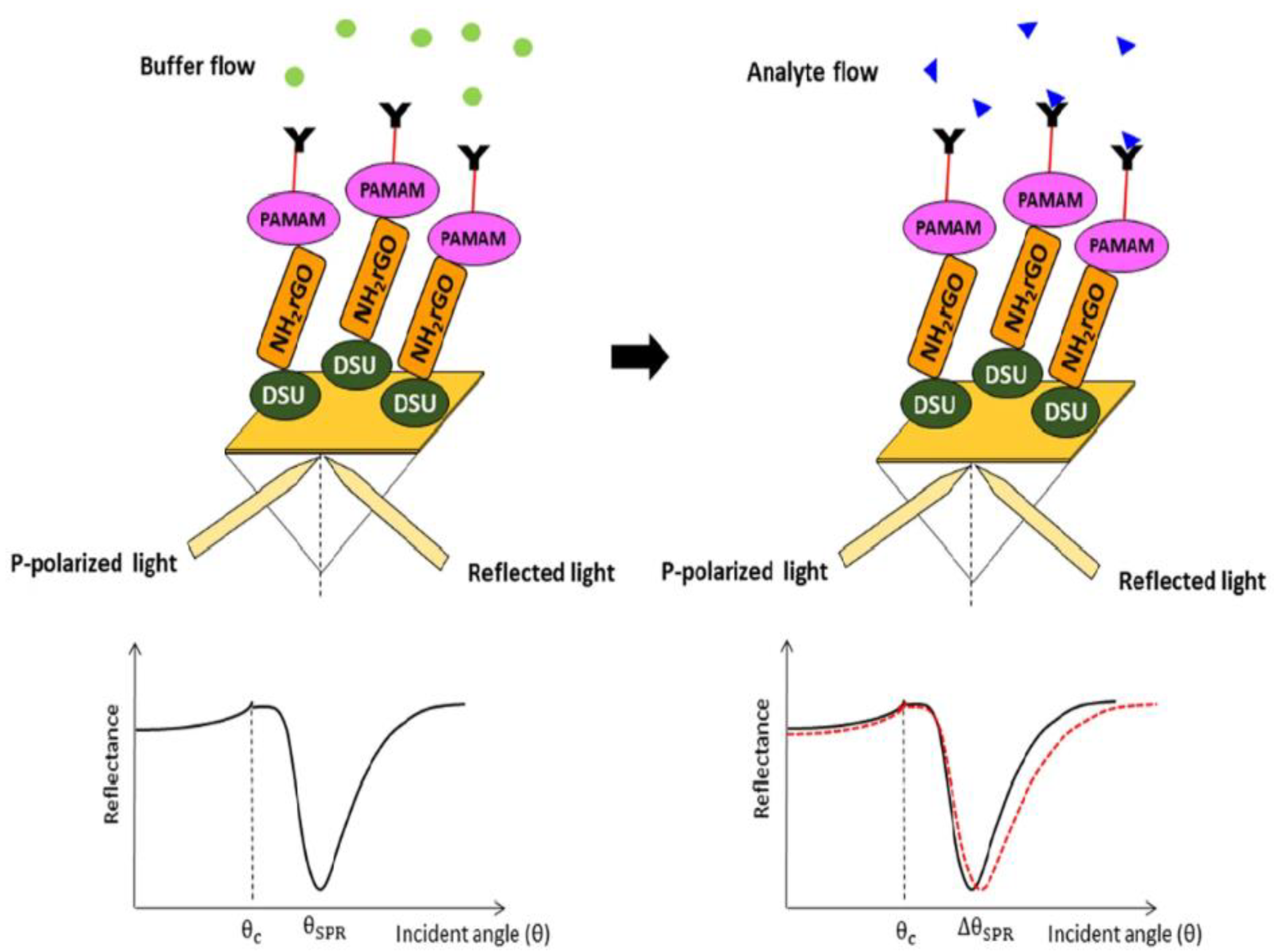 Biosensors 13 00349 g003